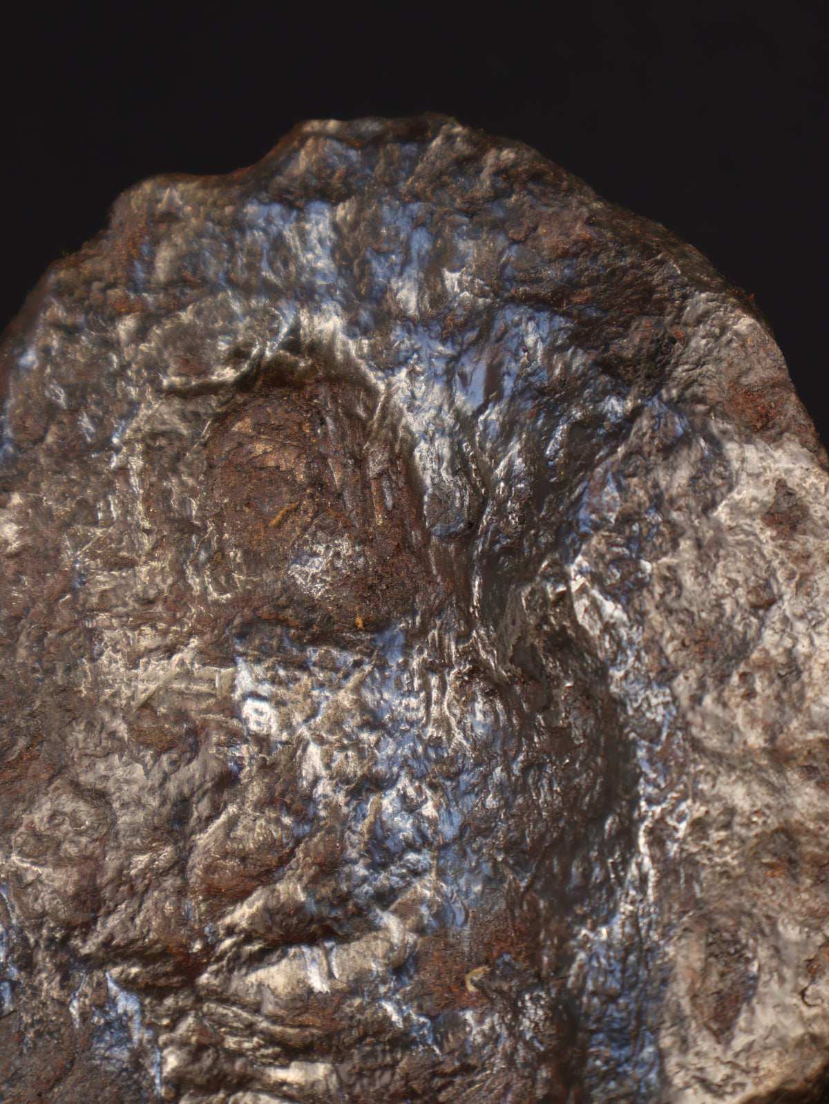 MUONIONALUSTA METEORITE, SWEDEN. FULL METEORITE 1711 grams.