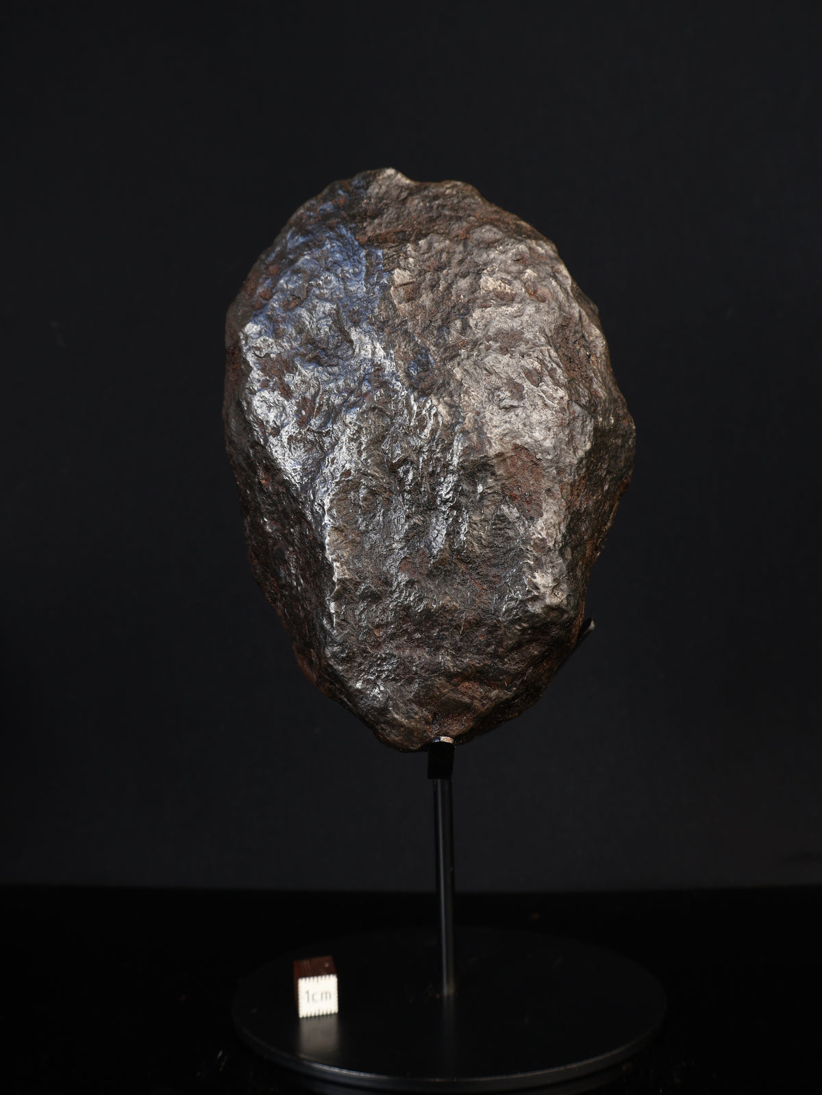 MUONIONALUSTA METEORITE, SWEDEN. FULL METEORITE 1711 grams.