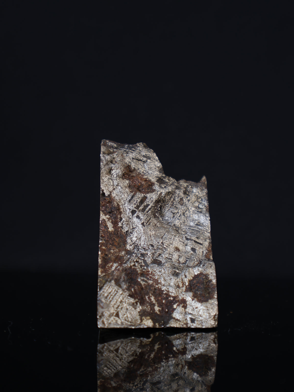 MUONIONALUSTA METEORITE, SWEDEN. 210 GRAMS END-CUT.