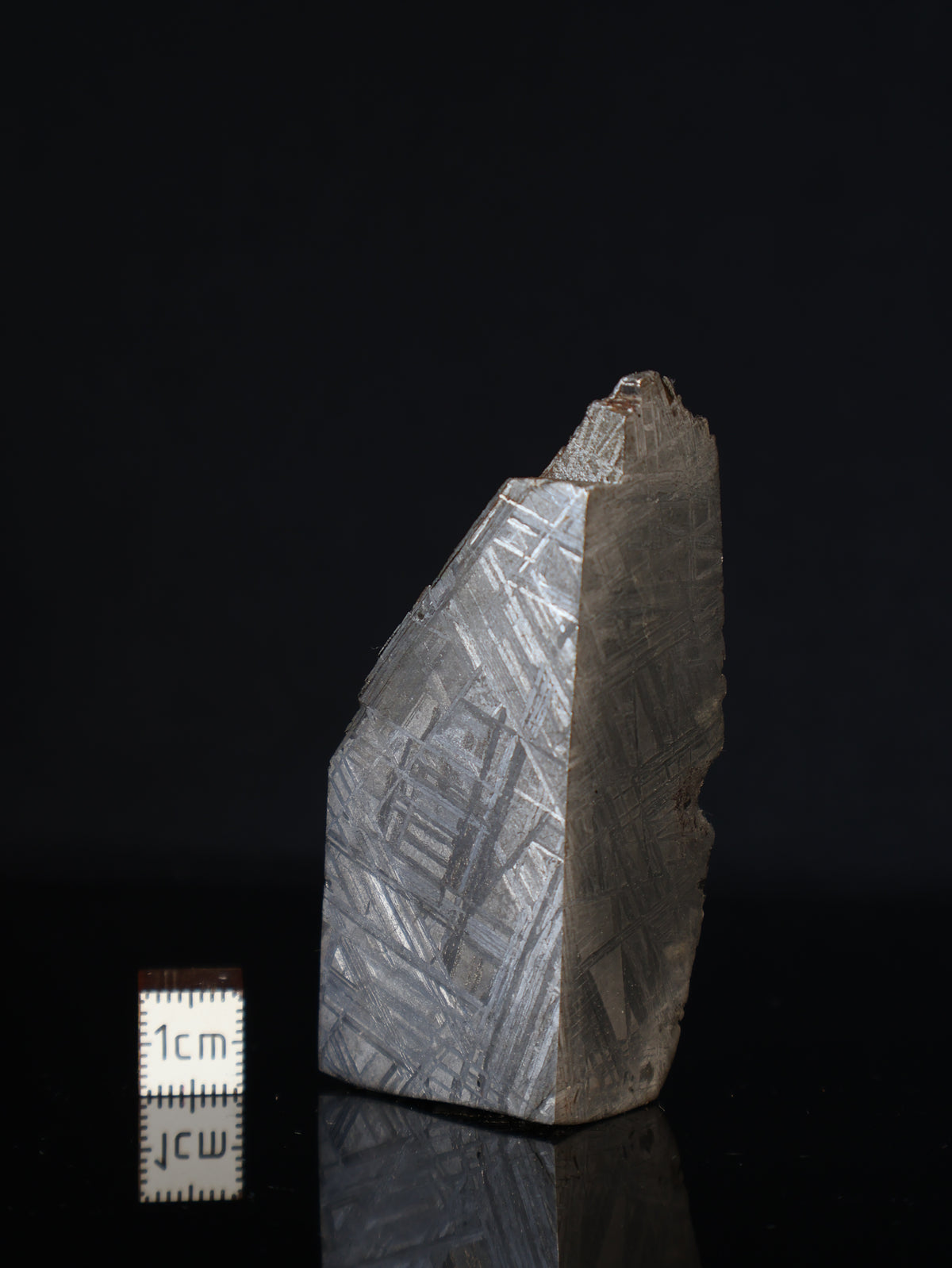 MUONIONALUSTA METEORITE, SWEDEN. 155 GRAMS END-CUT.