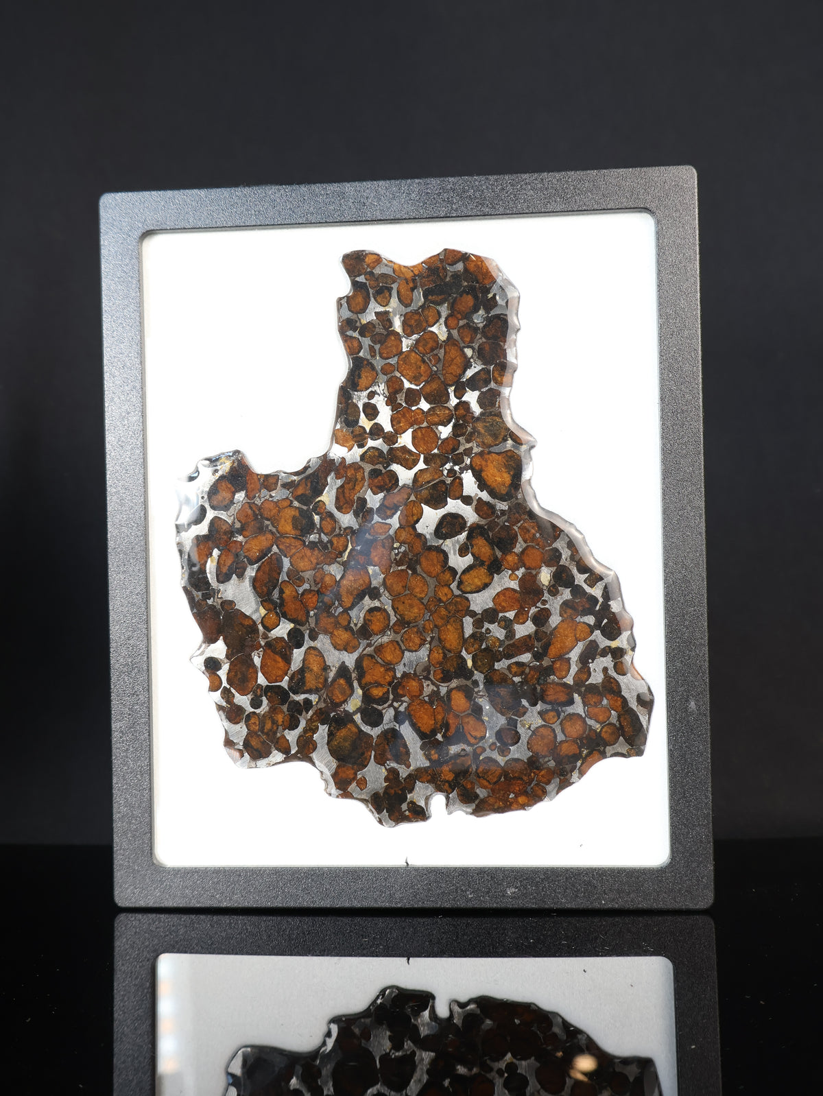 SERICHO METEORITE, KENYA. 55,5 GRAMS SLICE