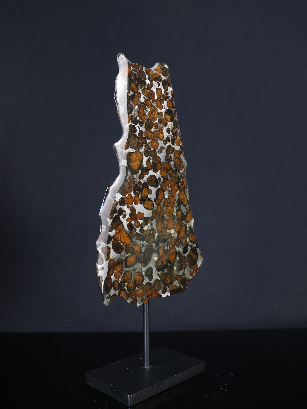 SERICHO METEORITE, KENYA. 44,9 GRAMS SLICE