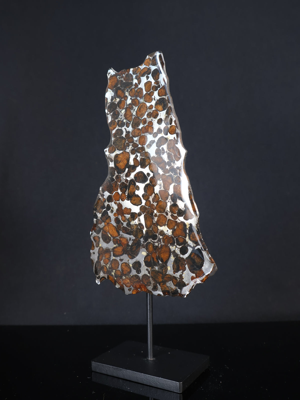 SERICHO METEORITE, KENYA. 44,9 GRAMS SLICE
