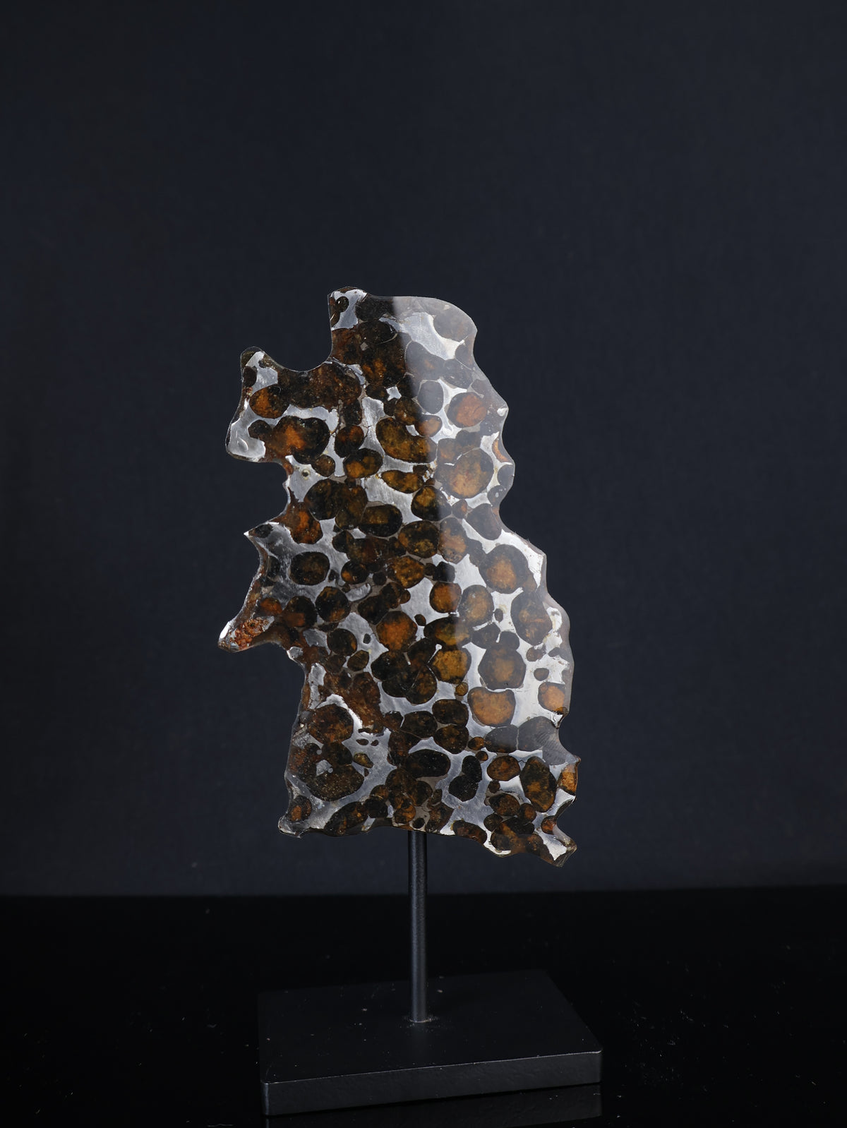SERICHO METEORITE, KENYA. 27,6 GRAMS SLICE