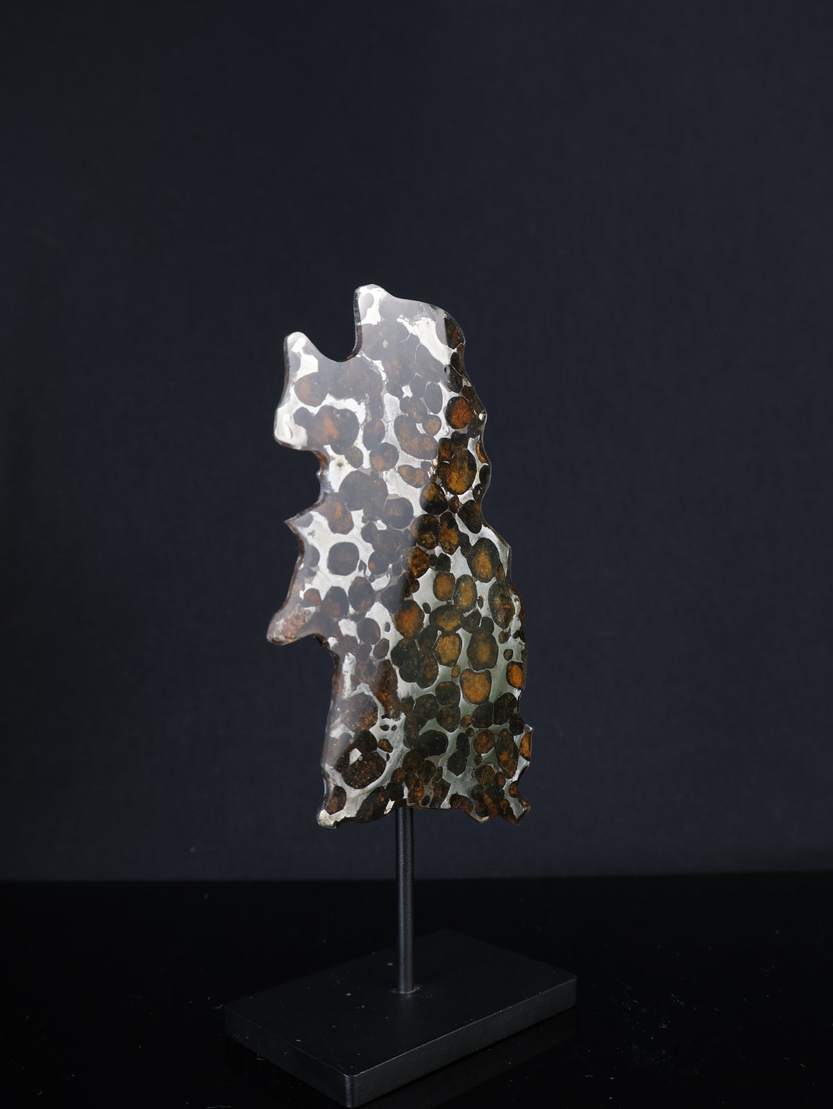 SERICHO METEORITE, KENYA. 27,6 GRAMS SLICE