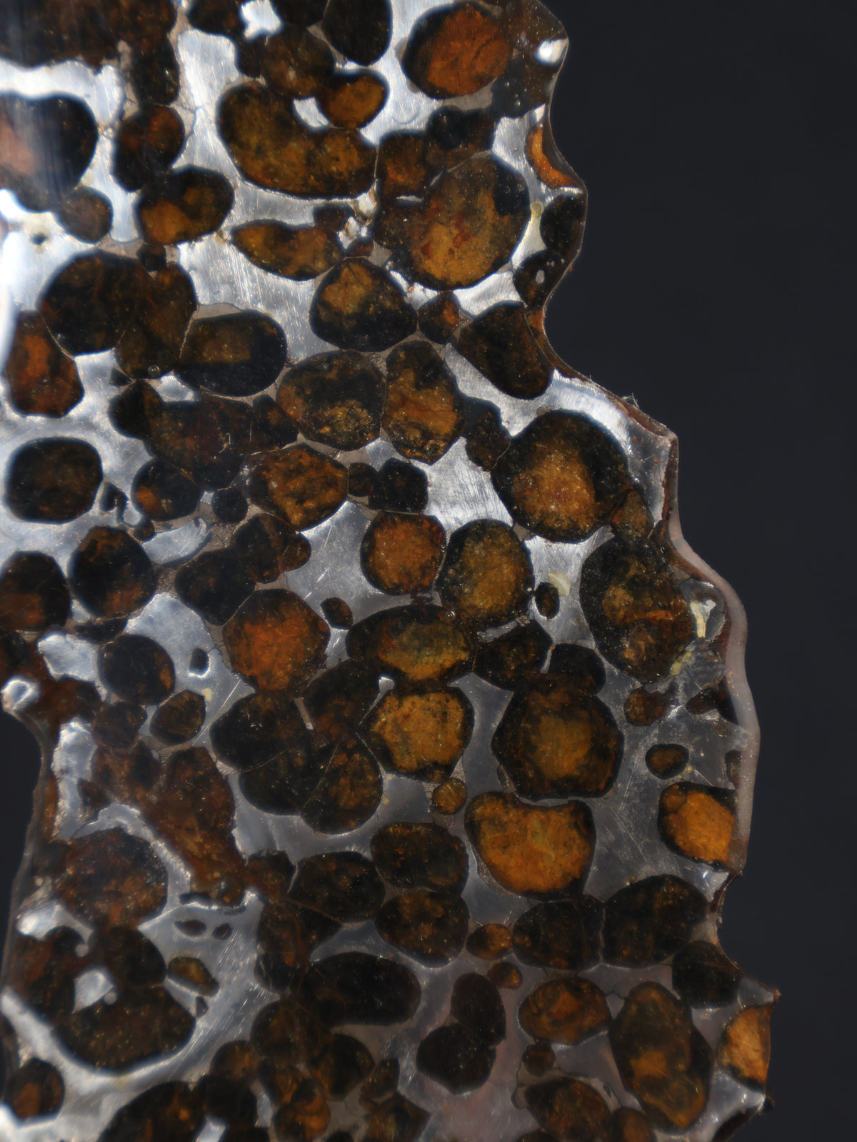 SERICHO METEORITE, KENYA. 27,6 GRAMS SLICE