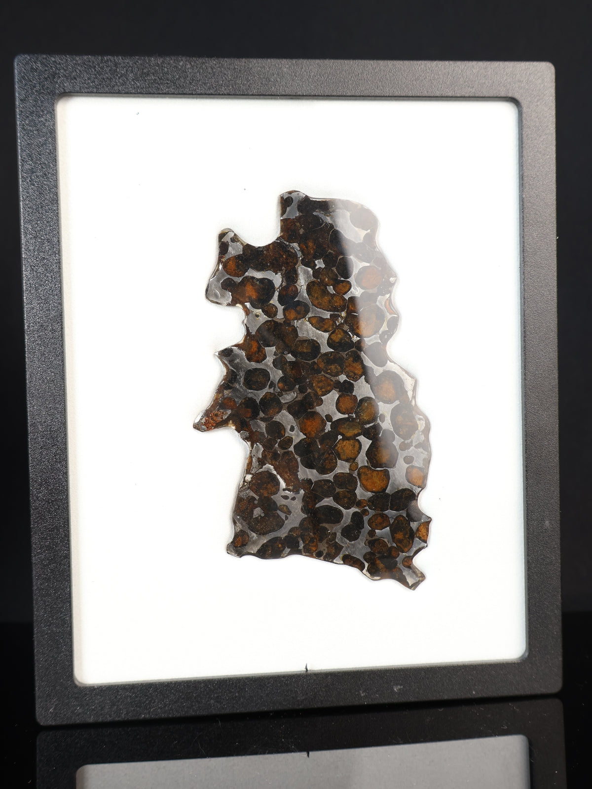 SERICHO METEORITE, KENYA. 27,6 GRAMS SLICE