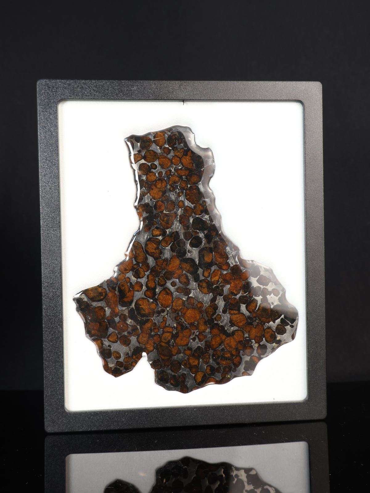SERICHO METEORITE, KENYA. 45,6 GRAMS SLICE