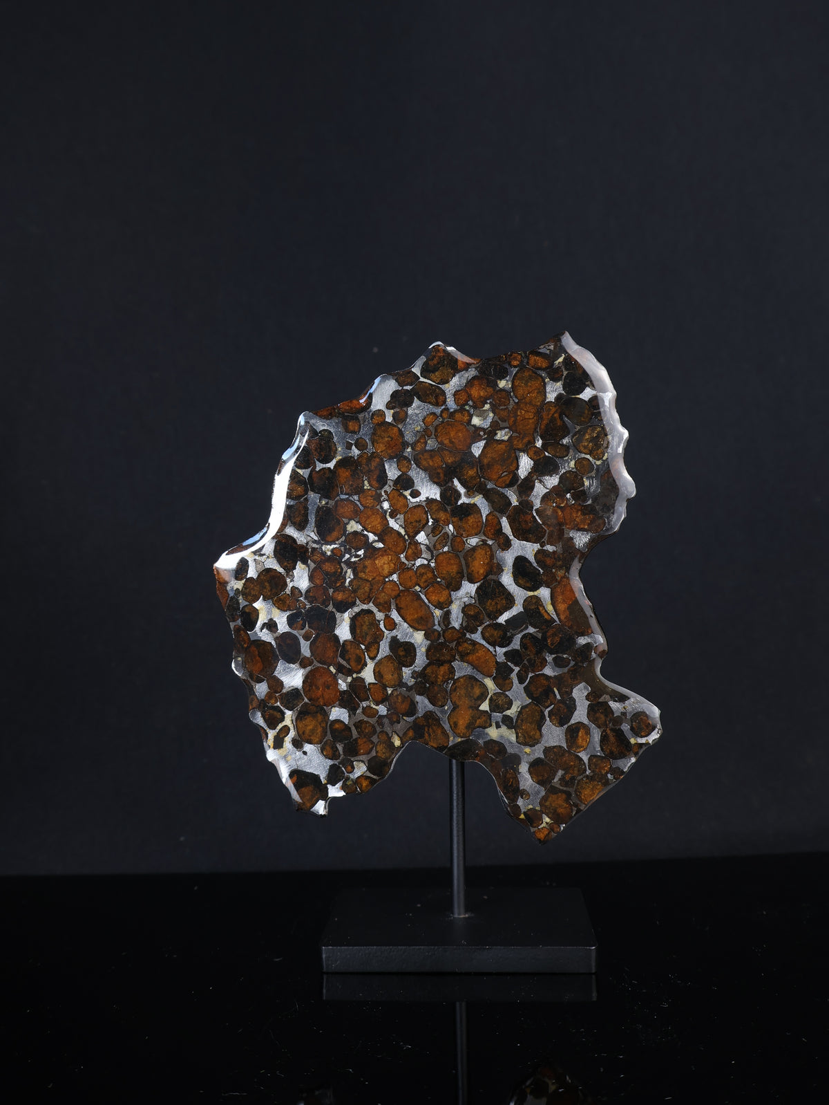 SERICHO METEORITE, KENYA. 53,5 GRAMS SLICE