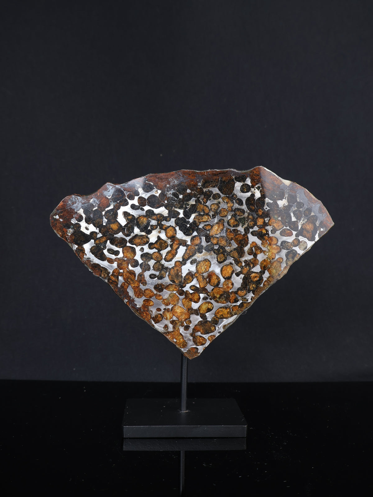 SERICHO METEORITE, KENYA. 68,7 GRAMS SLICE