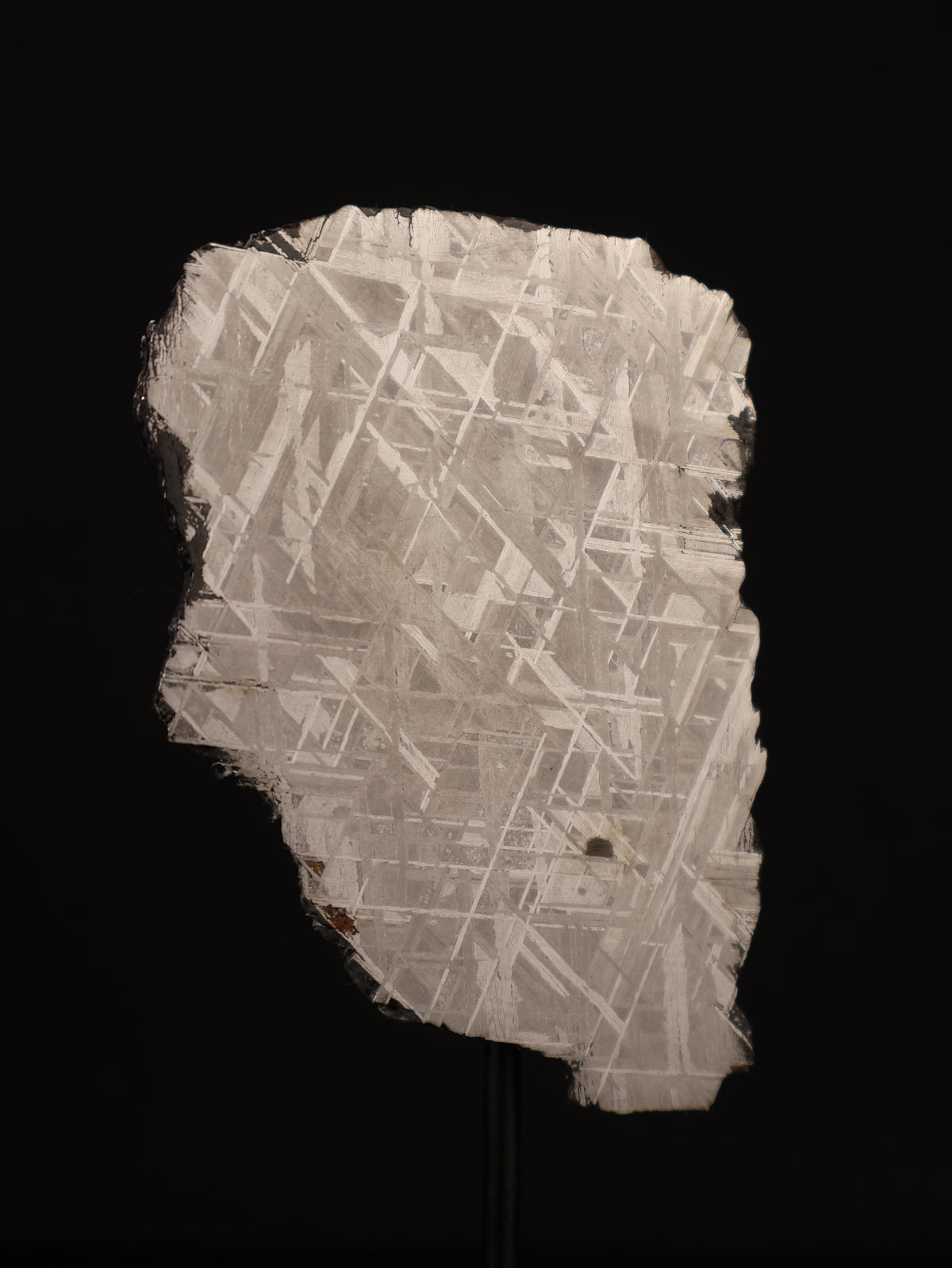 Muonionalusta meteorite, Sweden. 62,65 grams.