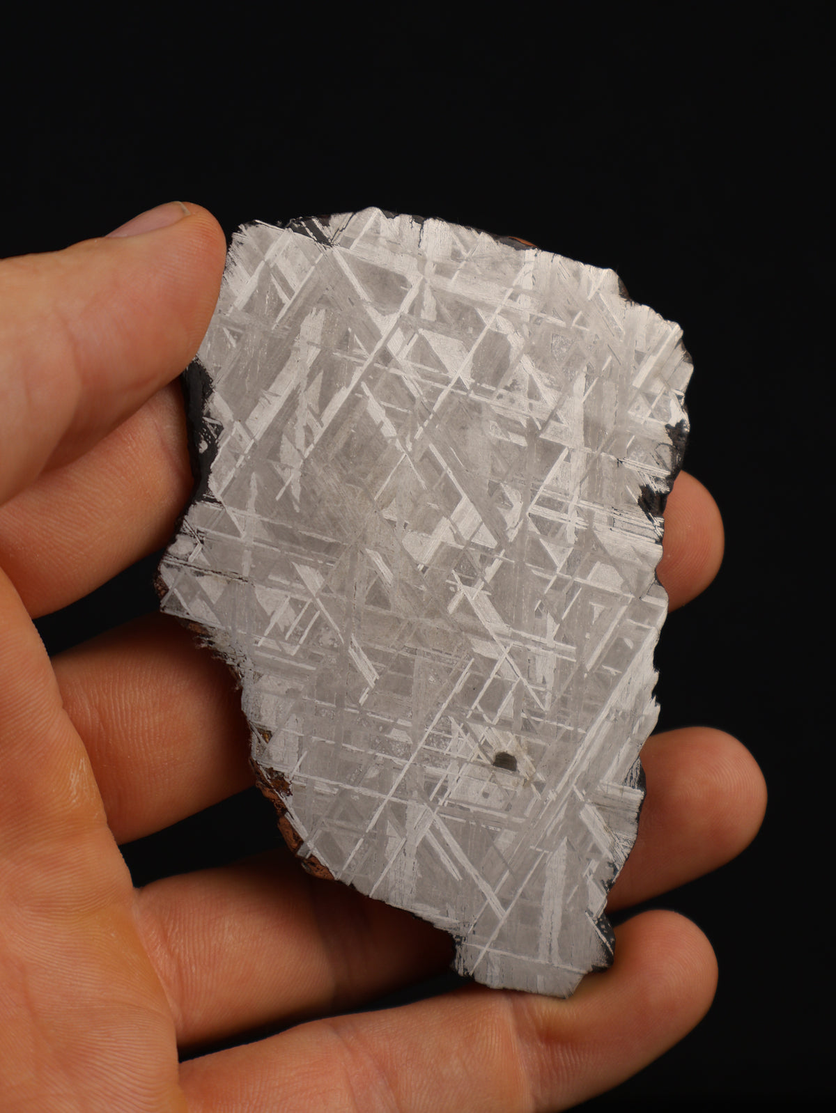 Muonionalusta meteorite, Sweden. 62,65 grams.