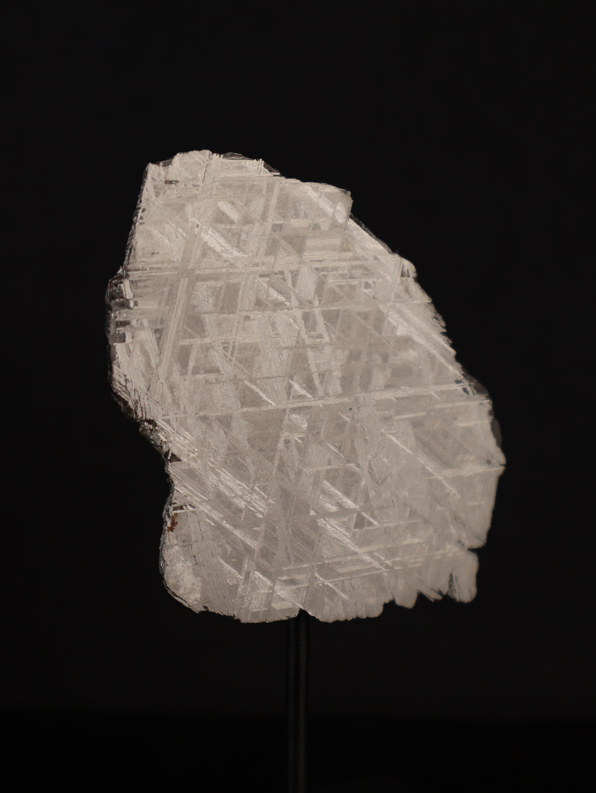 Muonionalusta meteorite, Sweden. 45,42 grams.