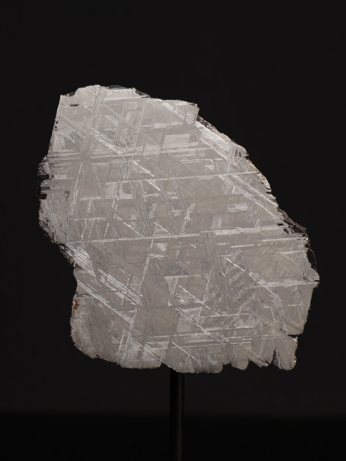 Muonionalusta meteorite, Sweden. 45,42 grams.