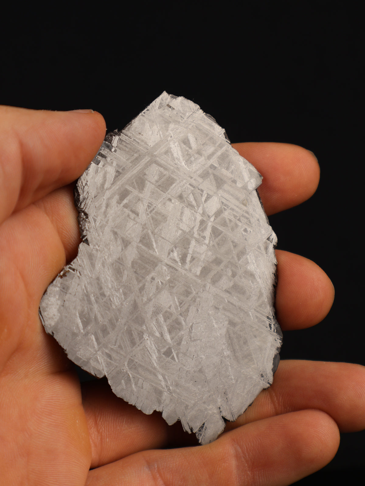 Muonionalusta meteorite, Sweden. 45,42 grams.