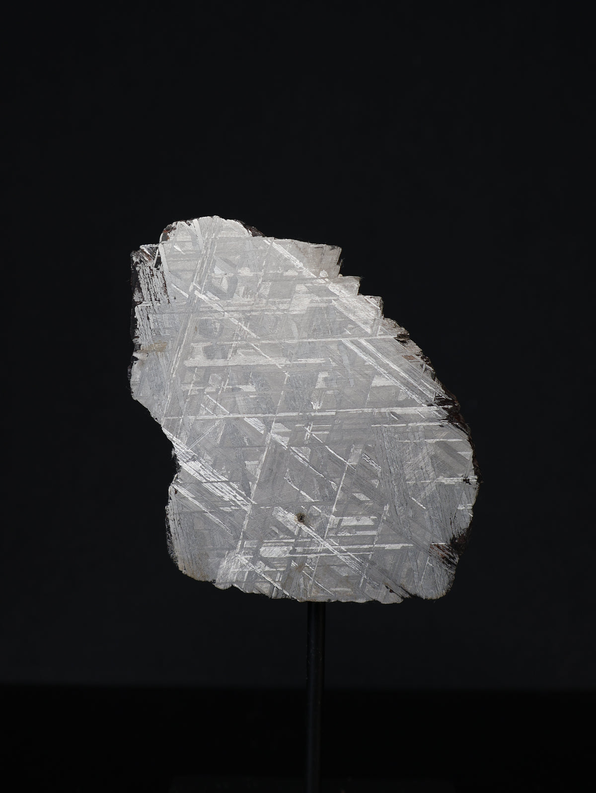 Muonionalusta meteorite, Sweden. 51,41 grams.