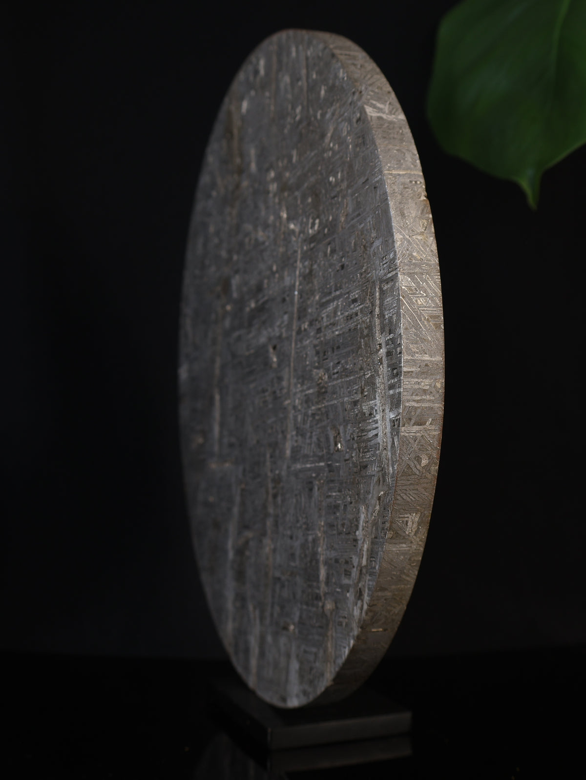 ALETAI METEORITE DISC, XINJIANG, CHINA. 5.7 KG.