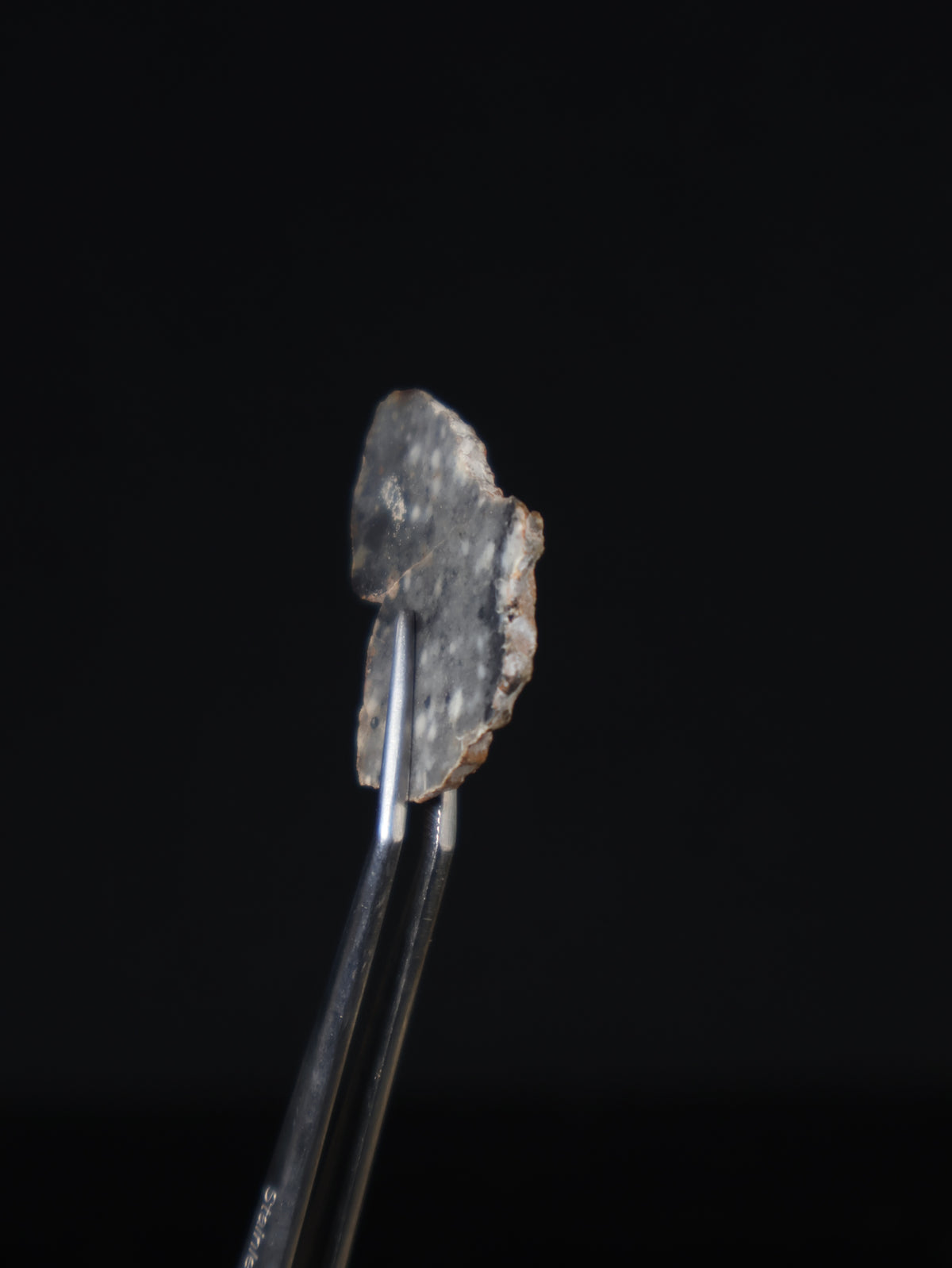 Lunar meteorite, Bechar 003, Algeria. 2,9 grams slice.