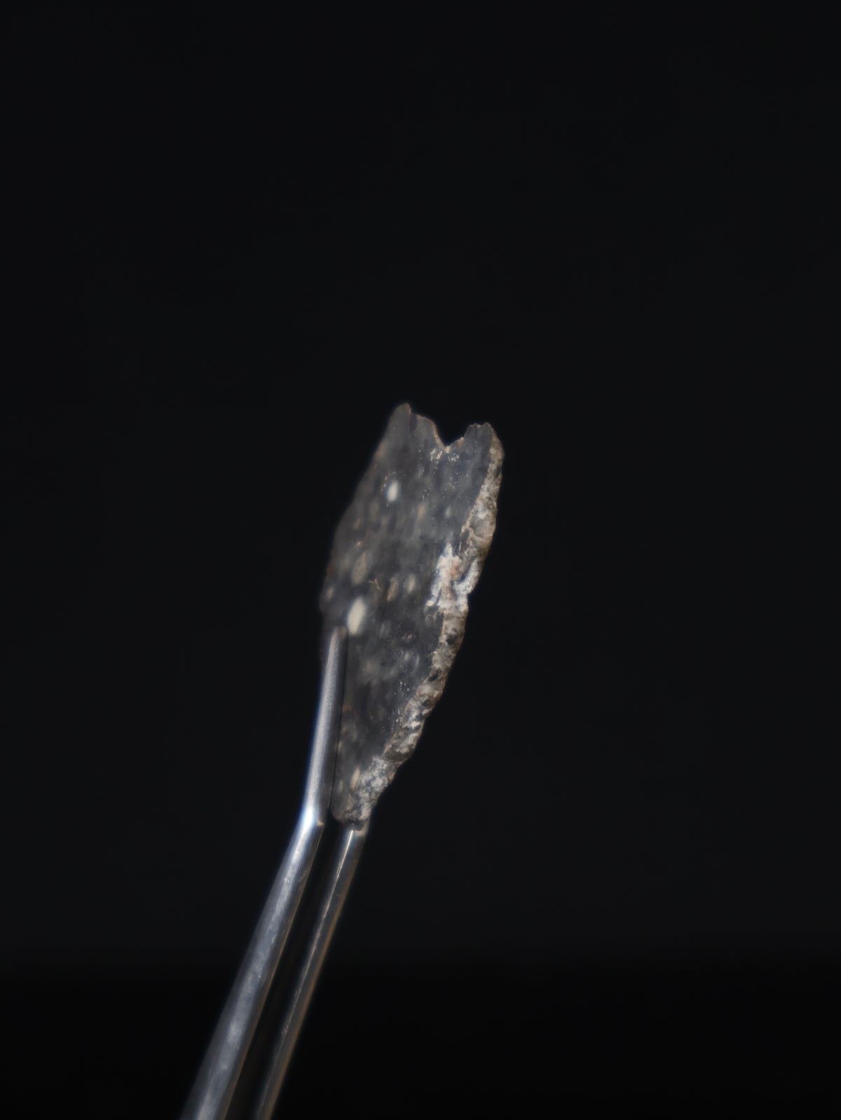 Lunar meteorite, Bechar 003, Algeria. 2,88 grams slice.