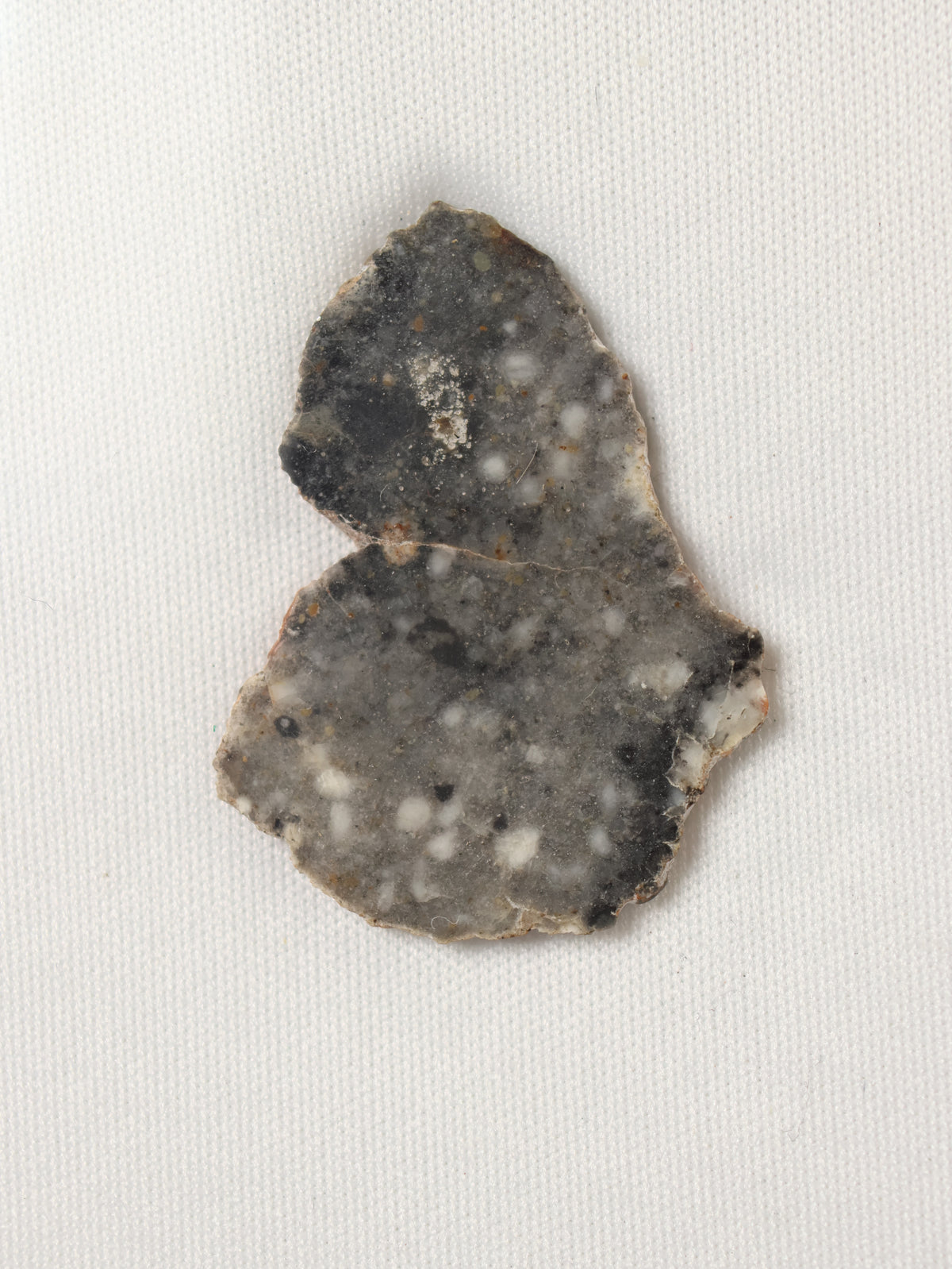 Lunar meteorite, Bechar 003, Algeria. 2,9 grams slice.