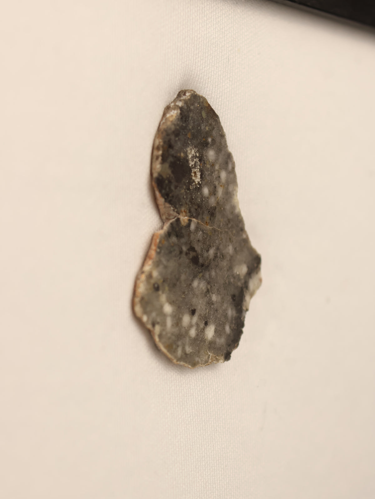 Lunar meteorite, Bechar 003, Algeria. 2,9 grams slice.