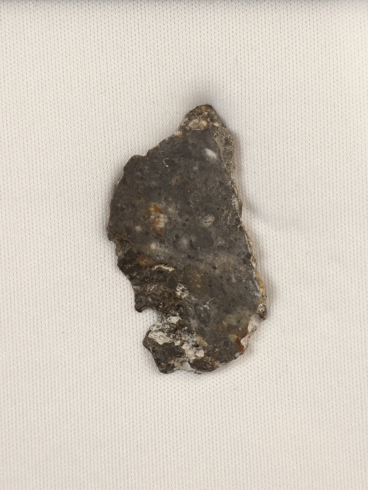 Lunar meteorite, Bechar 003, Algeria. 2,54 grams slice.