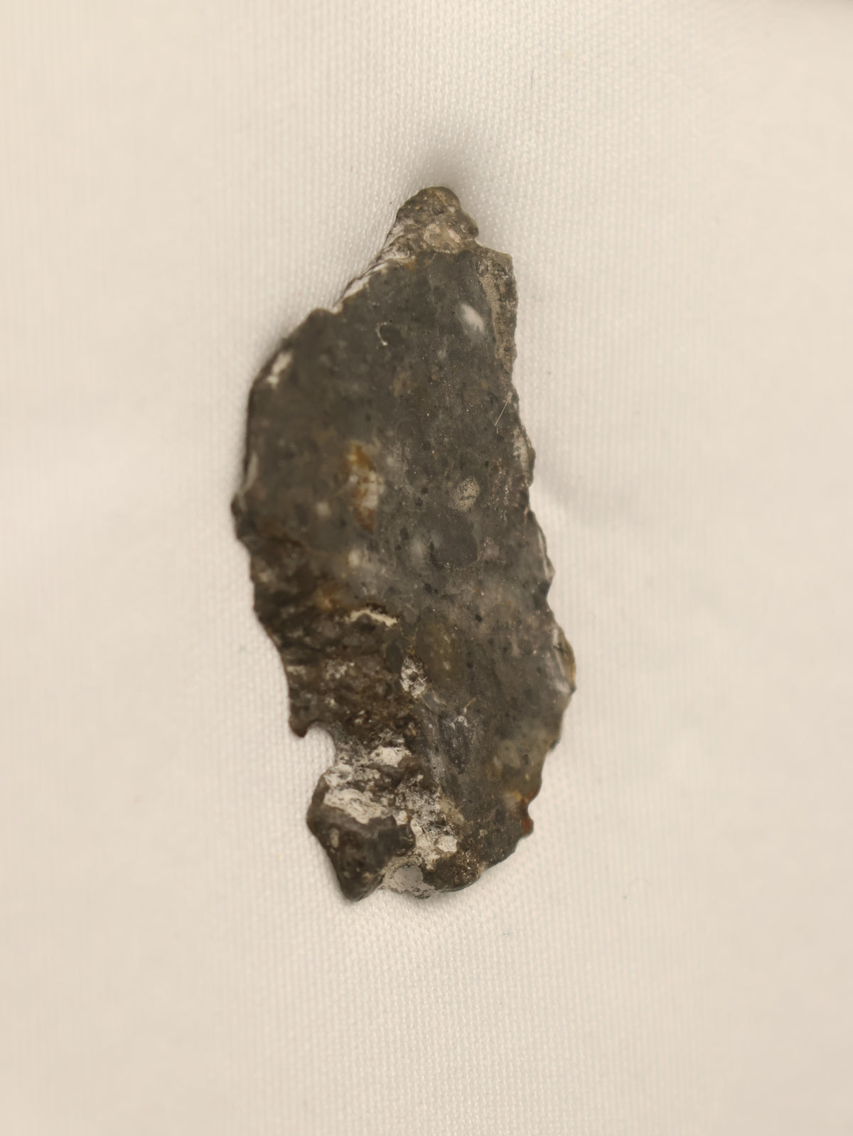Lunar meteorite, Bechar 003, Algeria. 2,54 grams slice.
