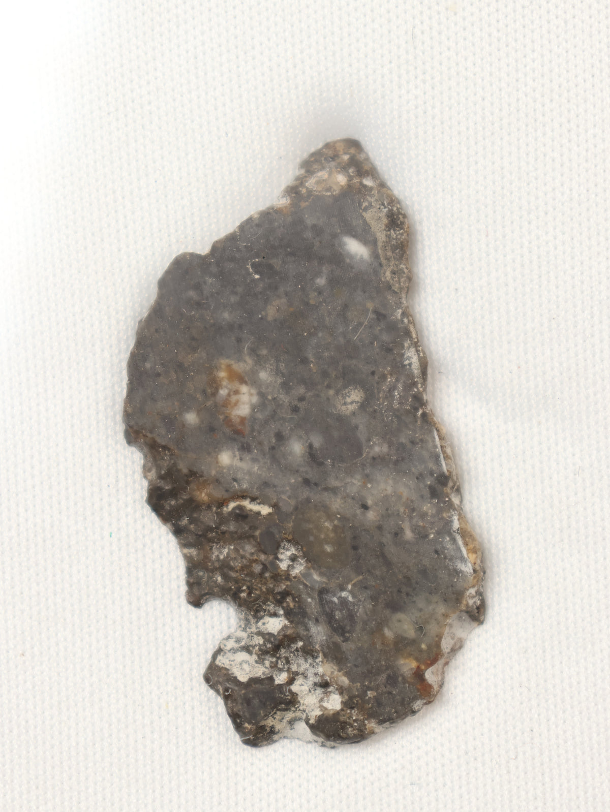 Lunar meteorite, Bechar 003, Algeria. 2,54 grams slice.
