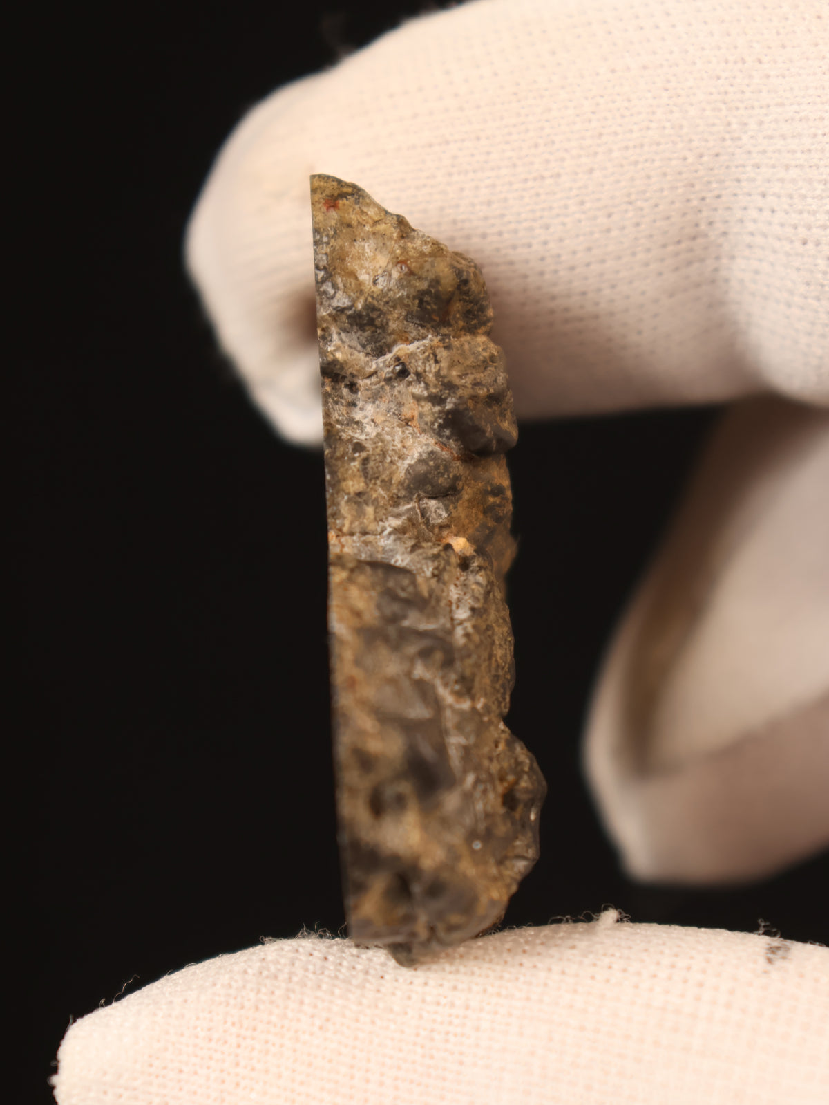 Lunar meteorite, Bechar 003, Algeria. 8,77 grams end-cut.