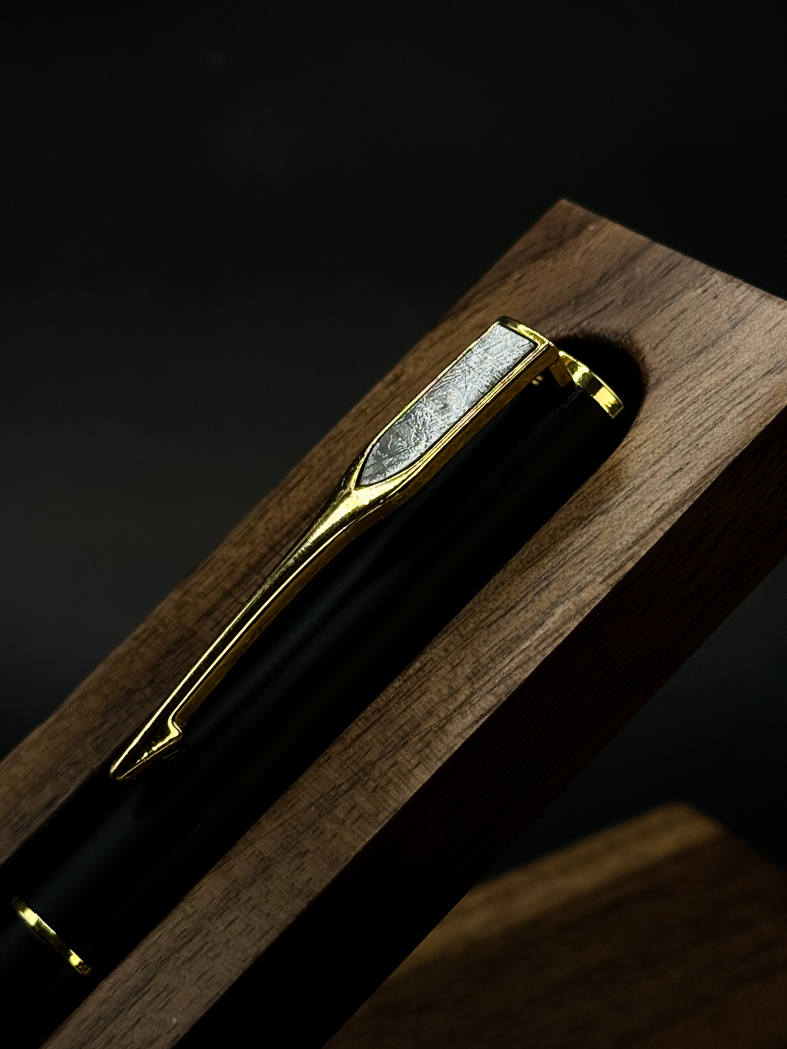 Muonionalusta meteorite PEN with Wood holder