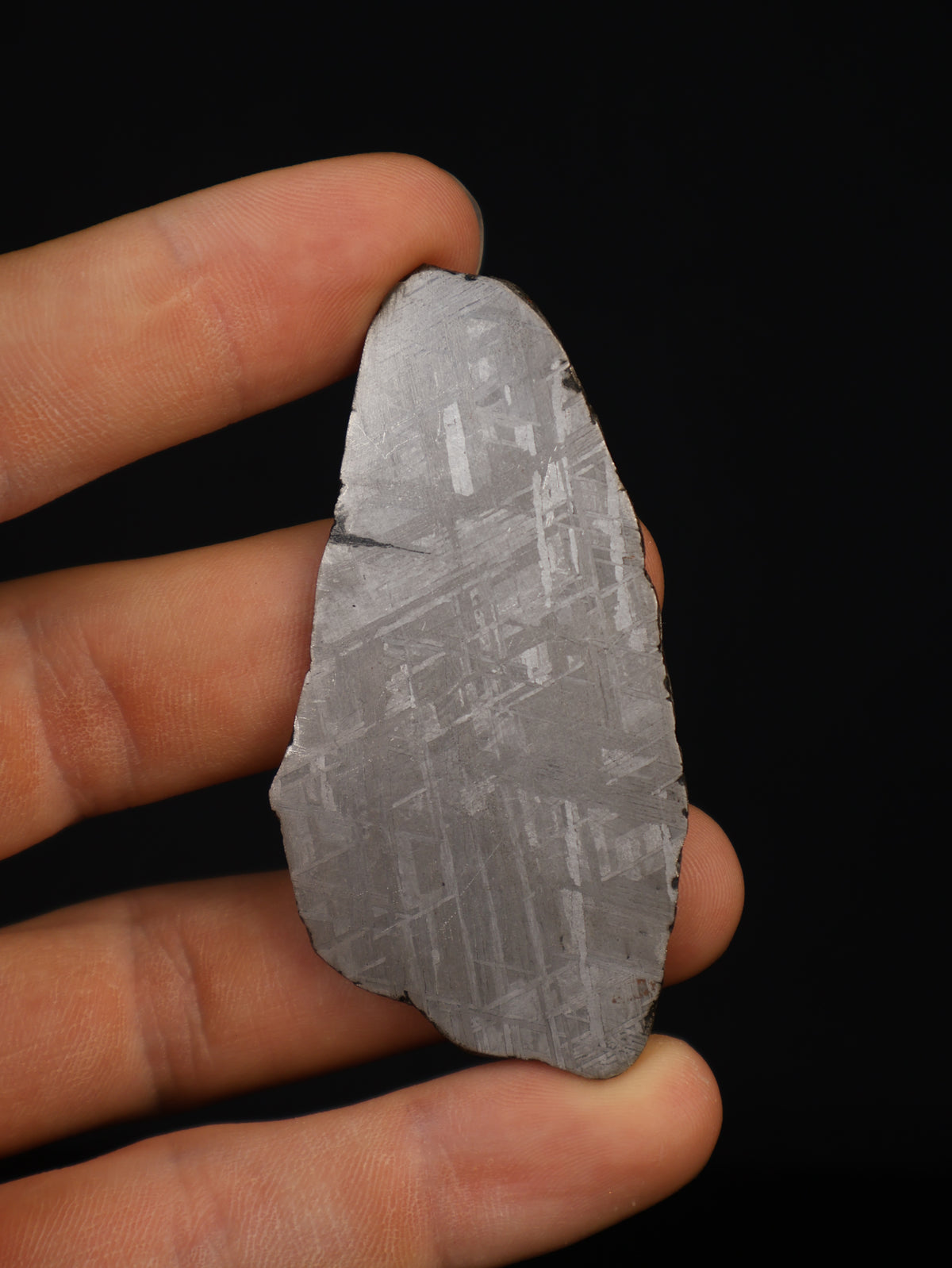 MUONIONALUSTA METEORITE, SWEDEN. 39,52 GRAMS.