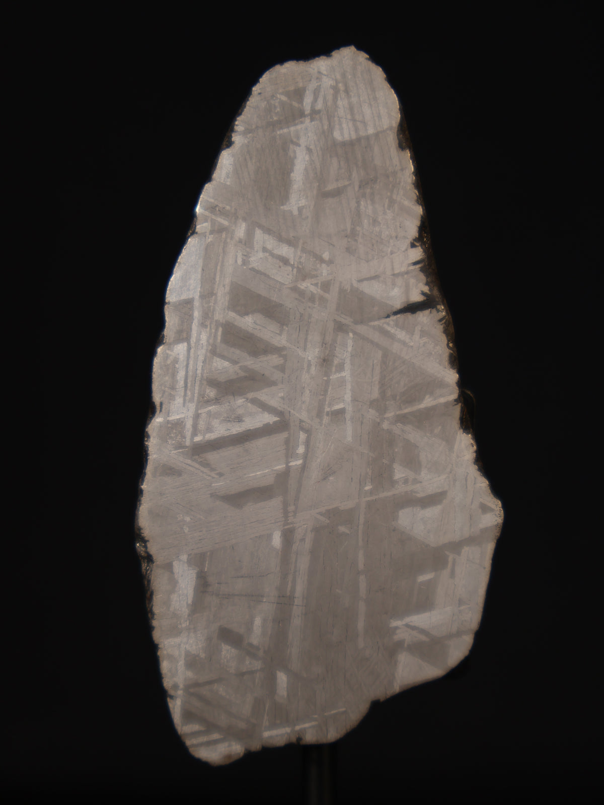 MUONIONALUSTA METEORITE, SWEDEN. 39,52 GRAMS.