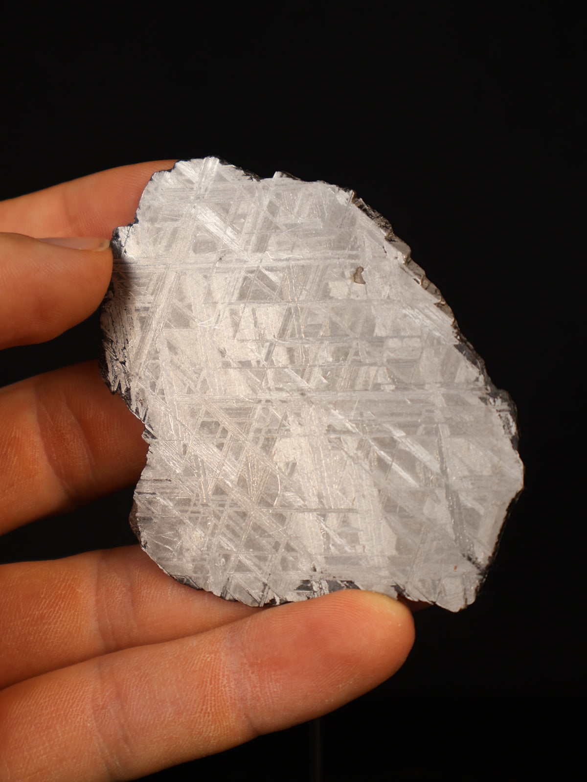 MUONIONALUSTA METEORITE, SWEDEN. 45,88 GRAMS.