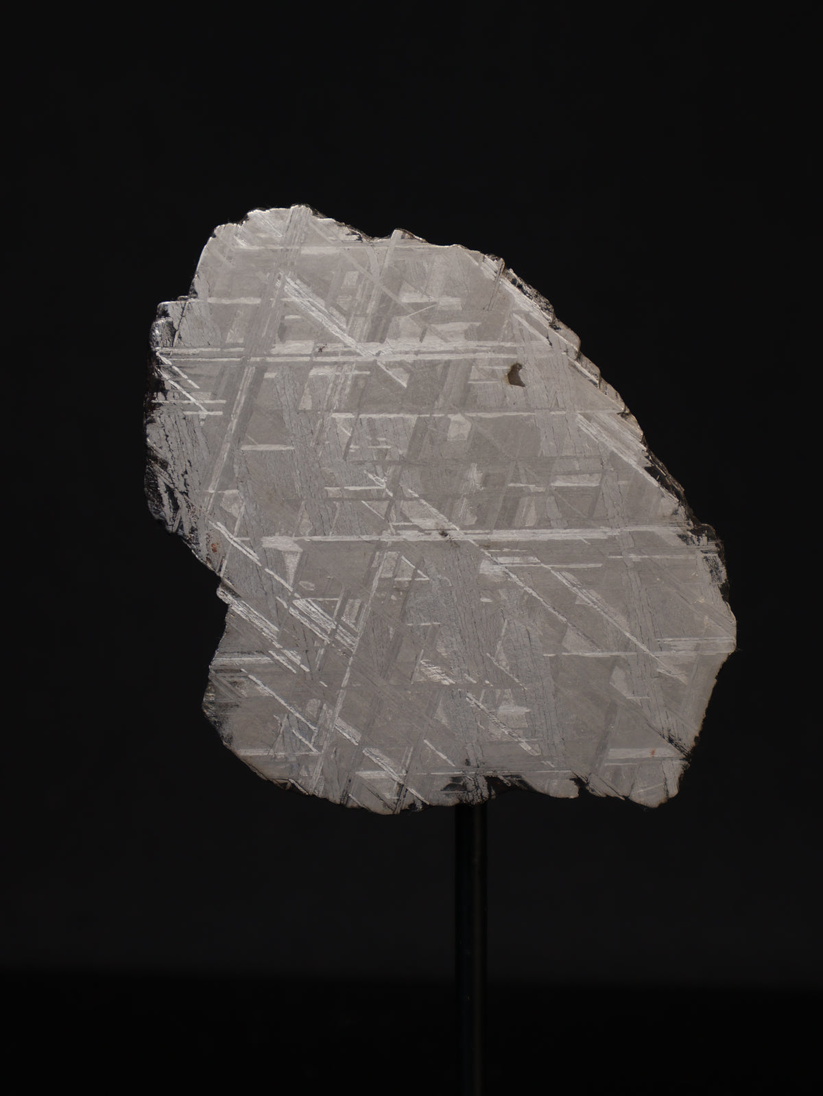MUONIONALUSTA METEORITE, SWEDEN. 45,88 GRAMS.