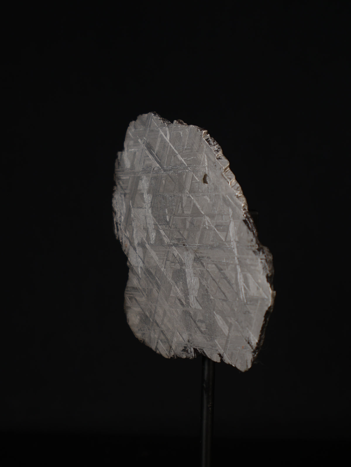 MUONIONALUSTA METEORITE, SWEDEN. 45,88 GRAMS.