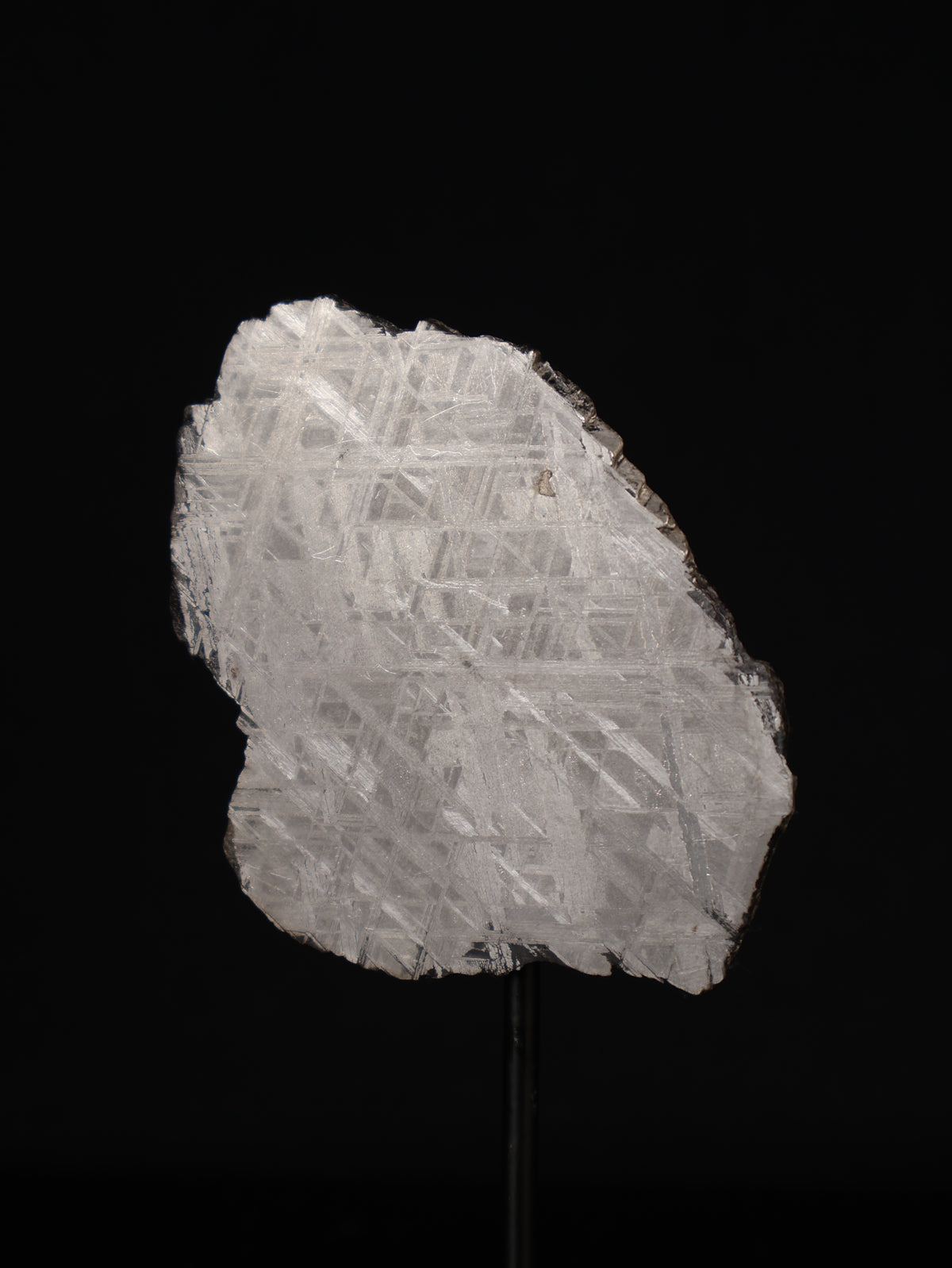 MUONIONALUSTA METEORITE, SWEDEN. 45,88 GRAMS.