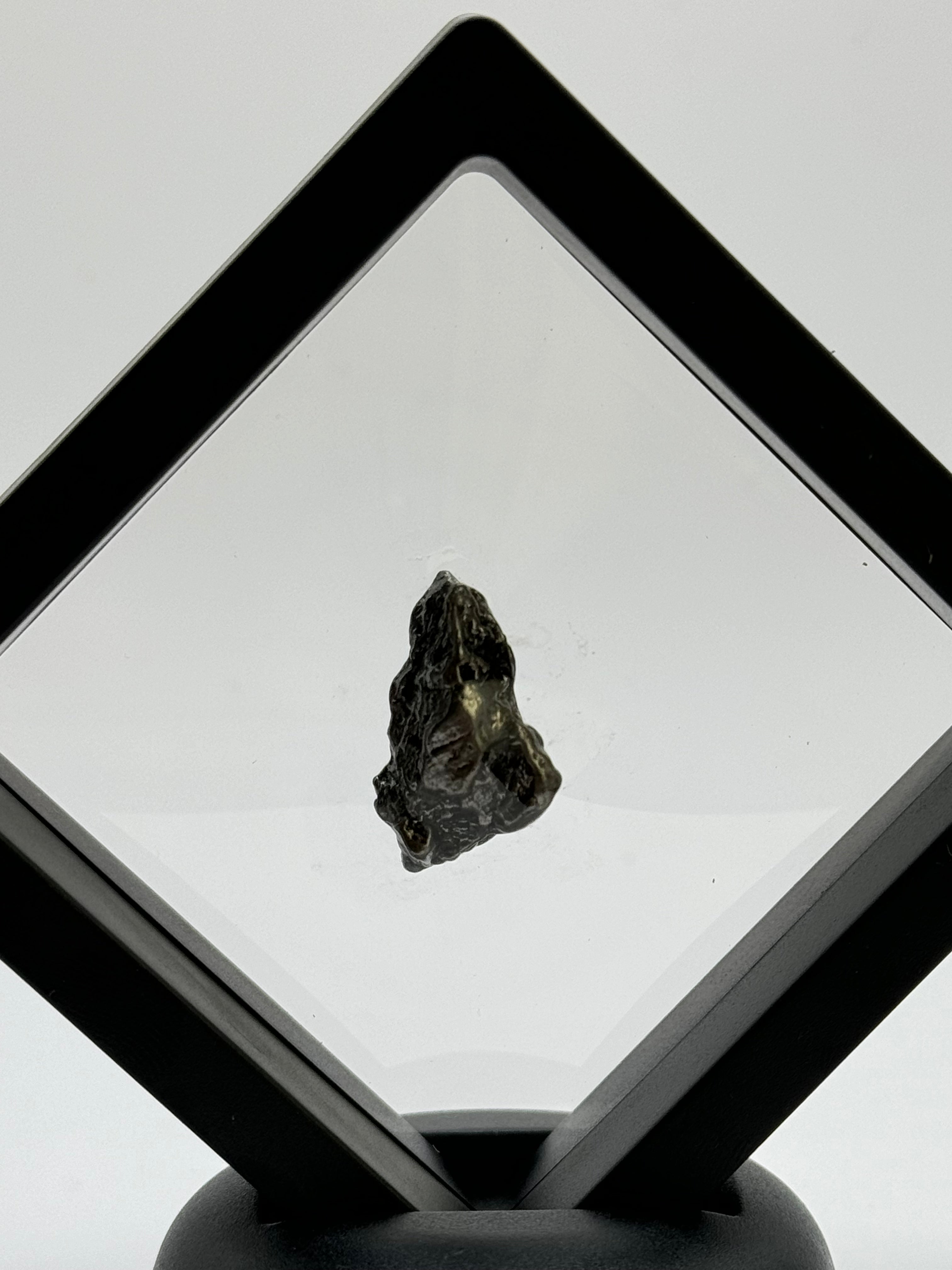 Meteorite Campo del Cielo, South America, in floating display.