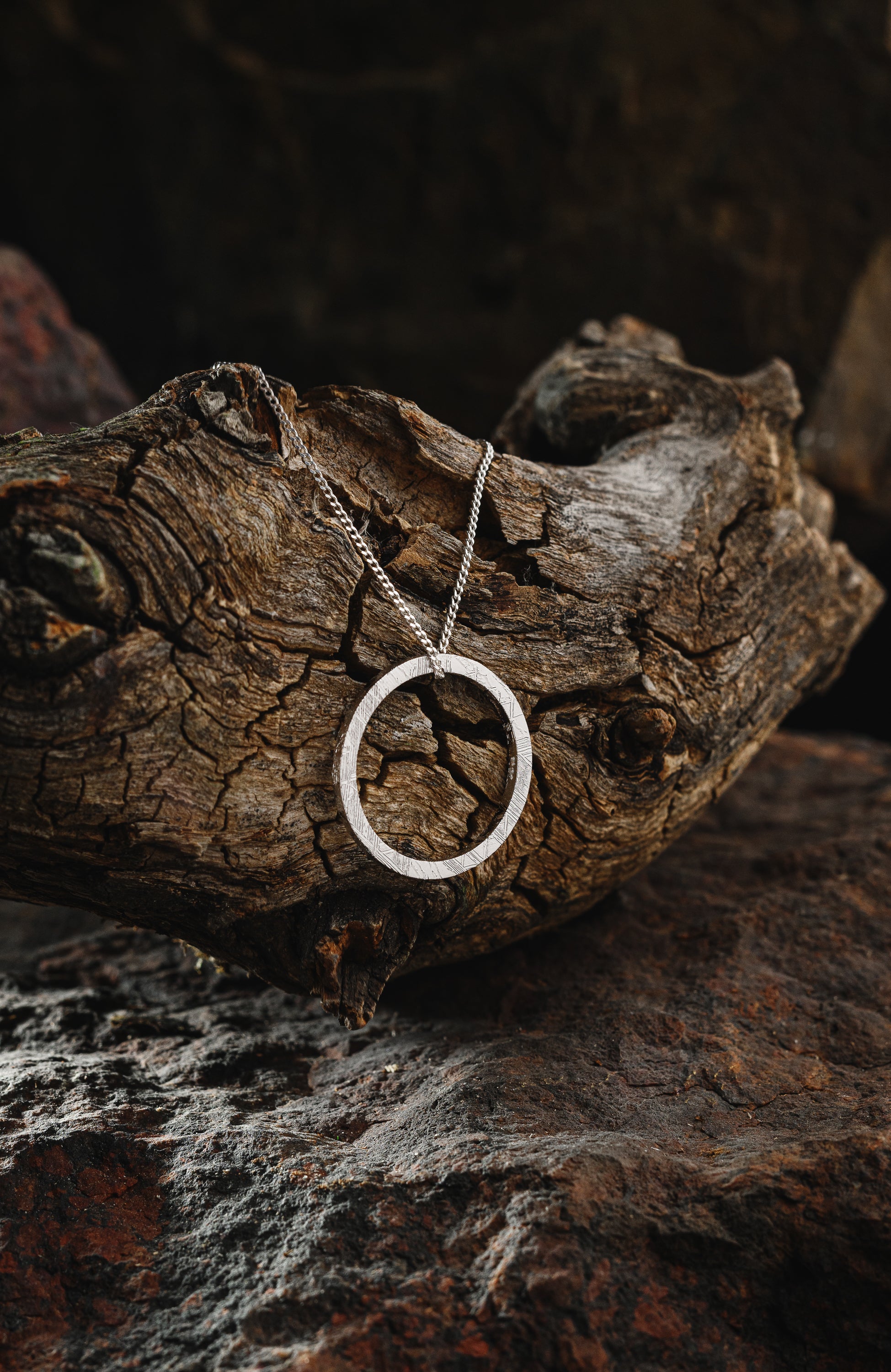 Muonionalusta meteorite Circle pendant