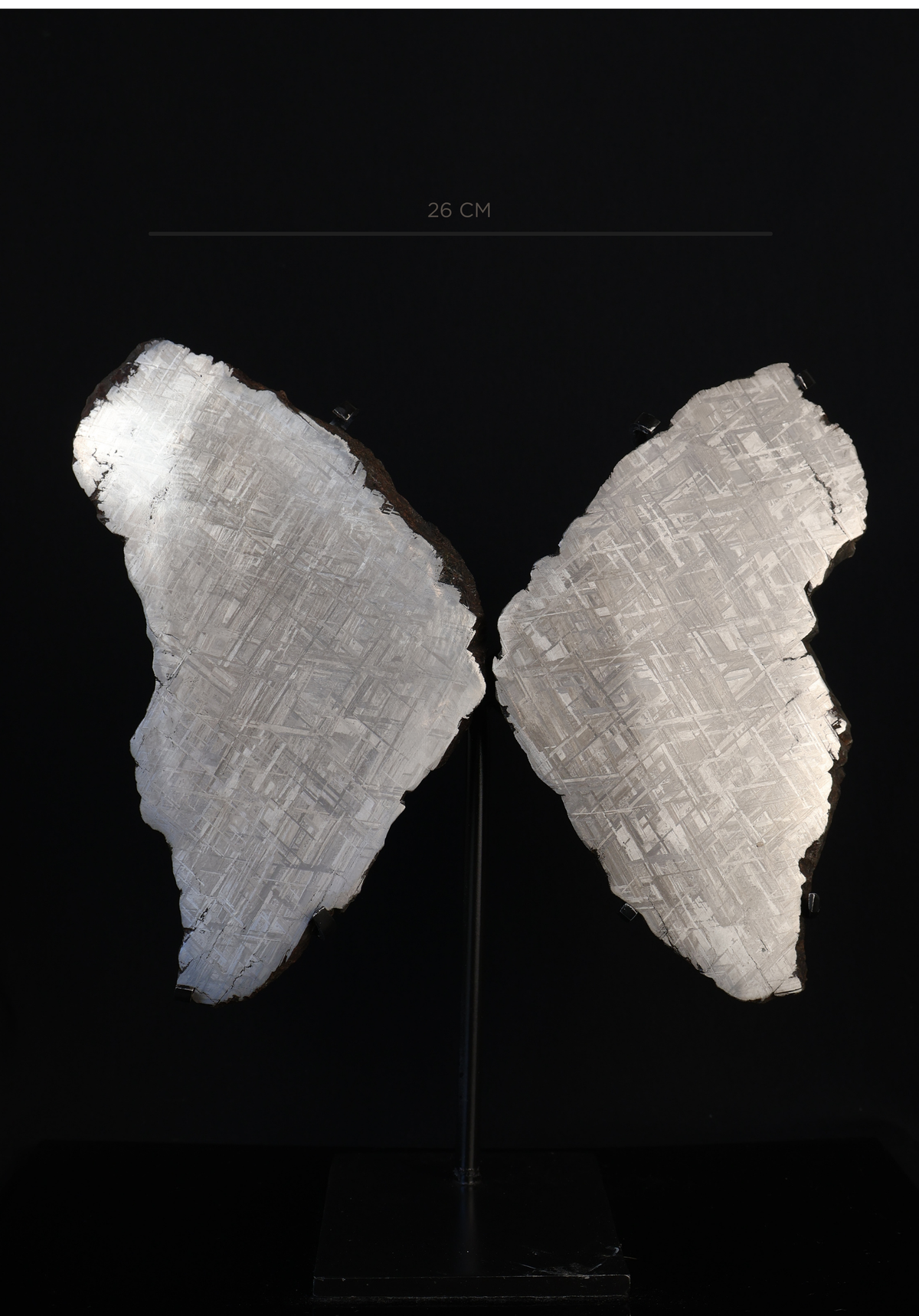 "COSMIC BUTTERFLY" MUONIONALUSTA, SWEDEN. FULL METEORITE IN TWO HALVES.