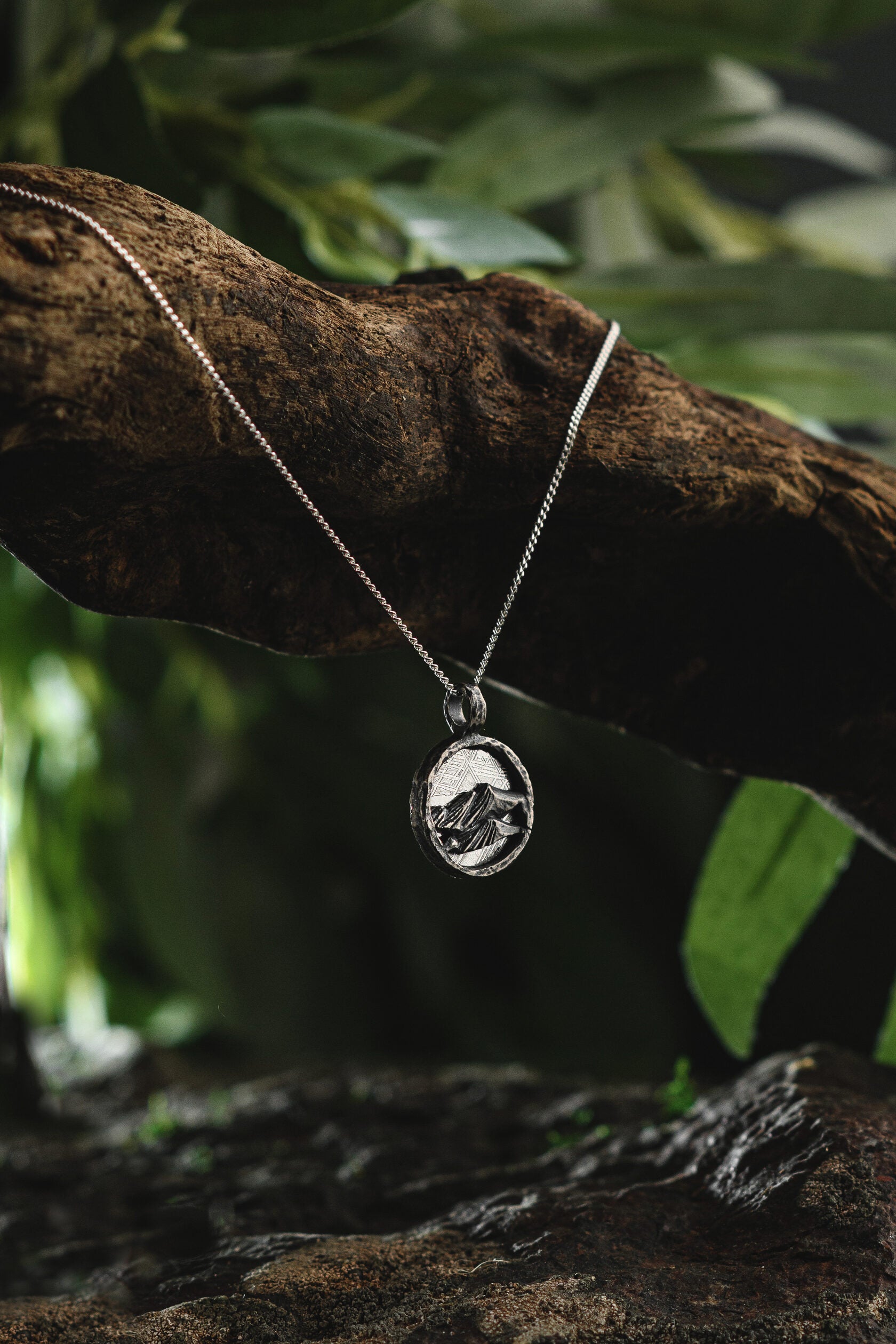 Muonionalusta meteorite Mountains pendant