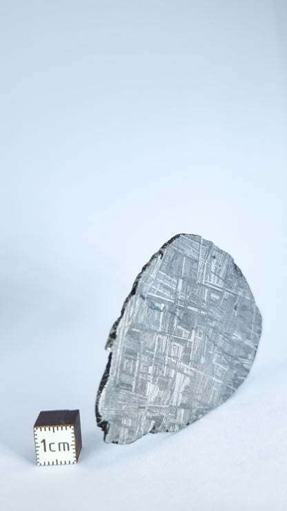 Muonionalusta meteorite, Sweden. 64,28 grams