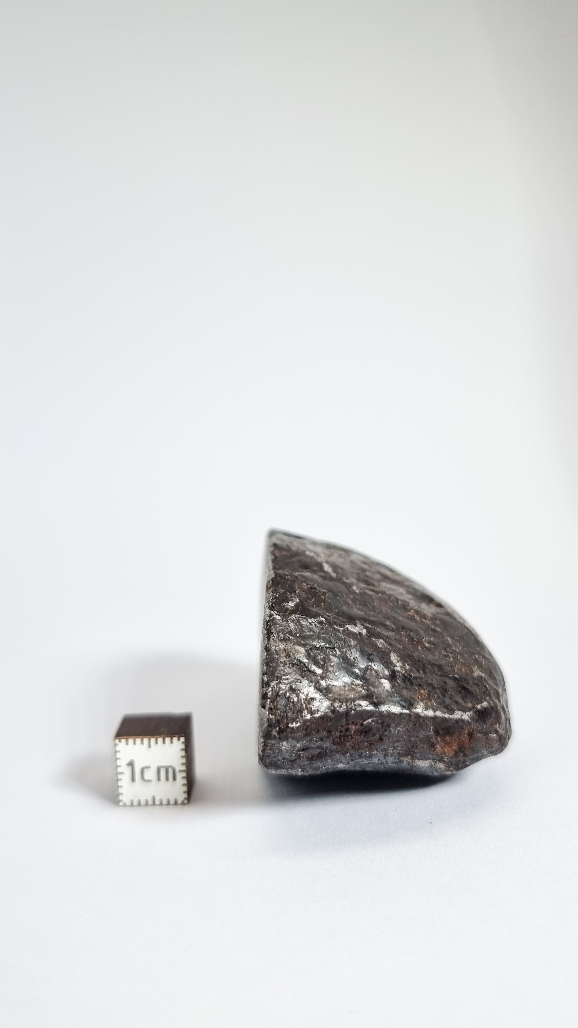 Muonionalusta meteorite, Sweden. End Cut 299 grams.