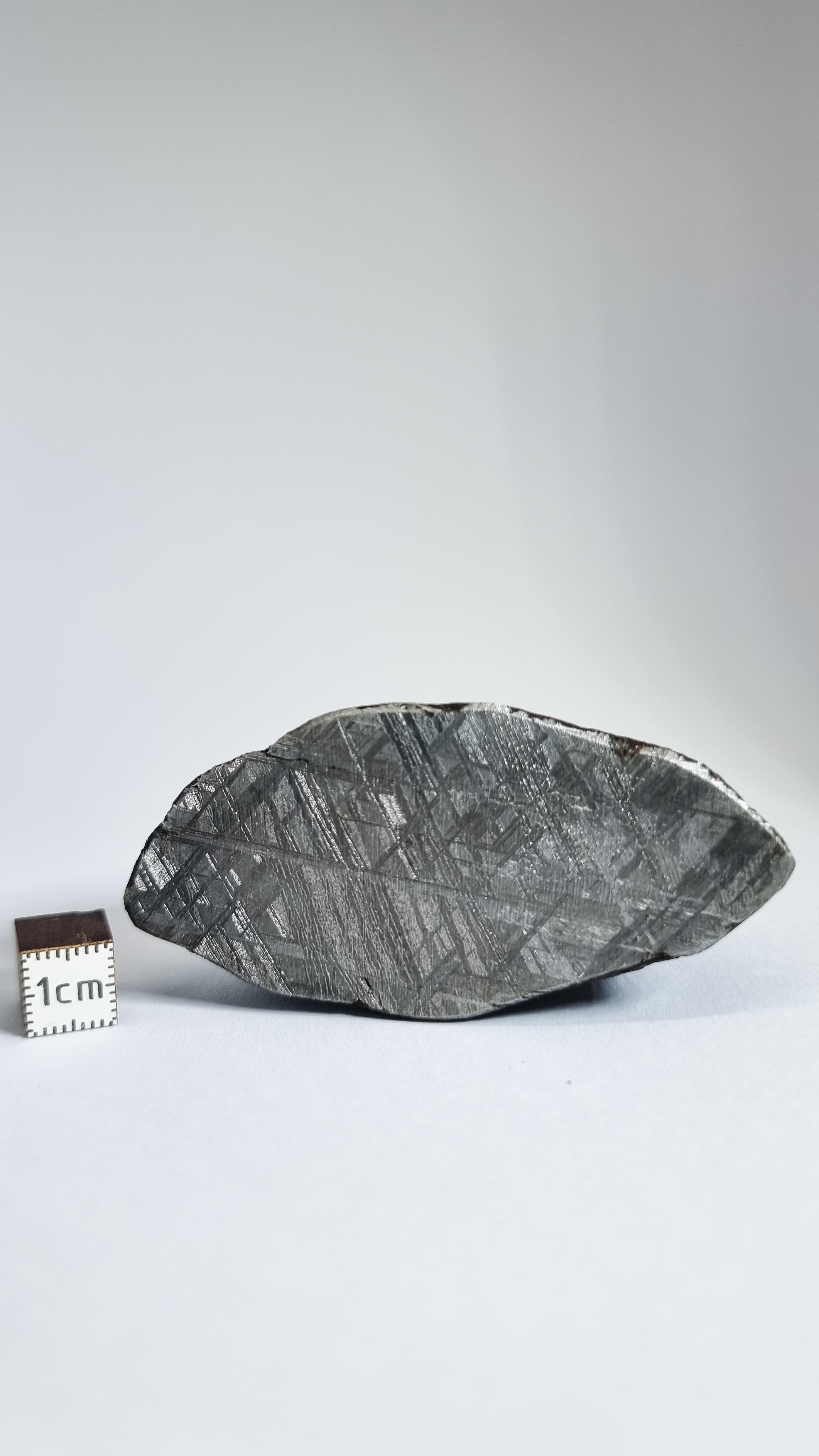 Muonionalusta meteorite, Sweden. End Cut 299 grams.