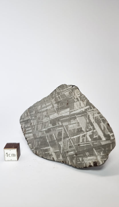 Muonionalusta meteorite, Sweden. Slice 80.55g