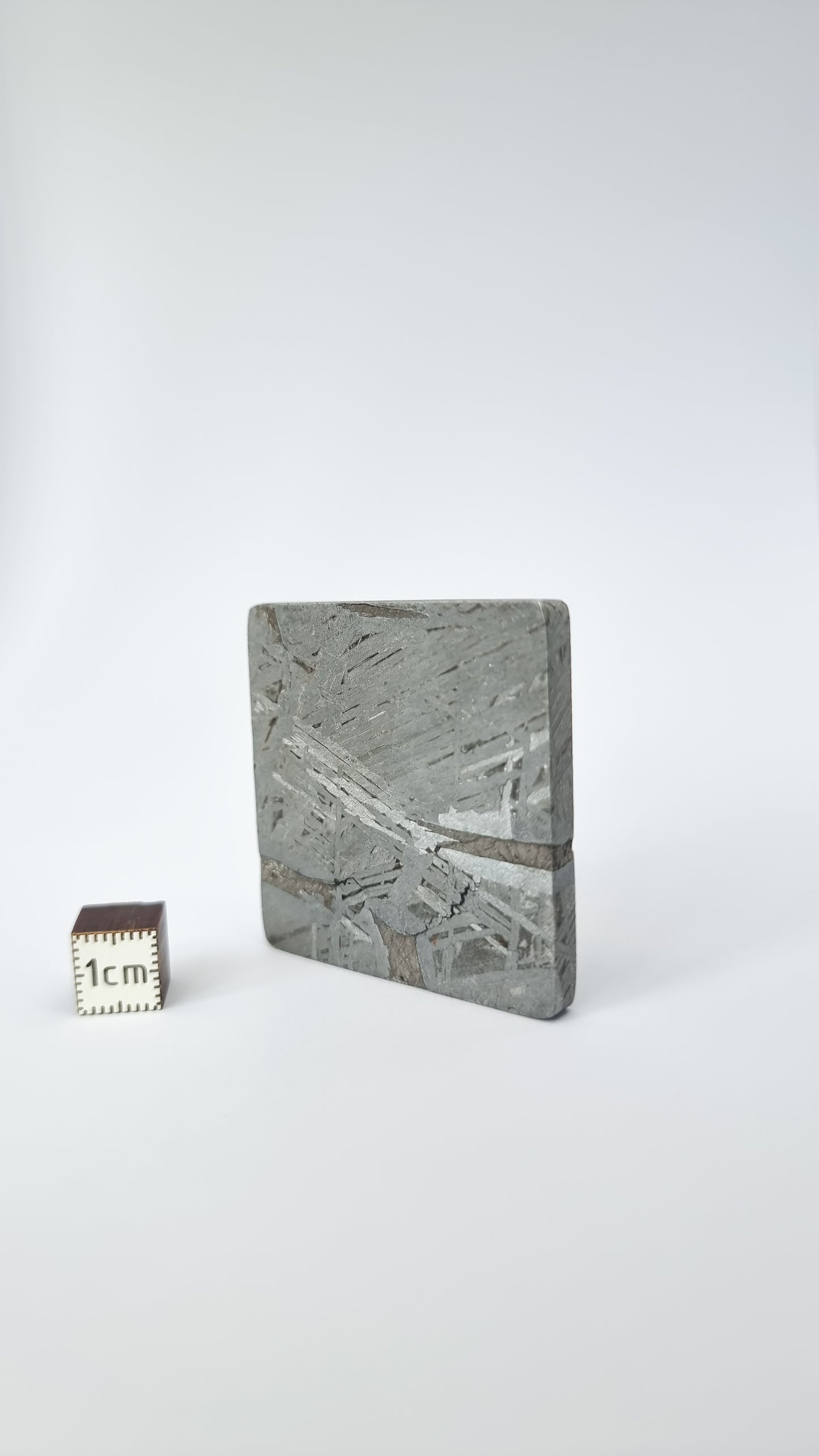 Aletai meteorite, Gobi Desert. 76.82g slice.