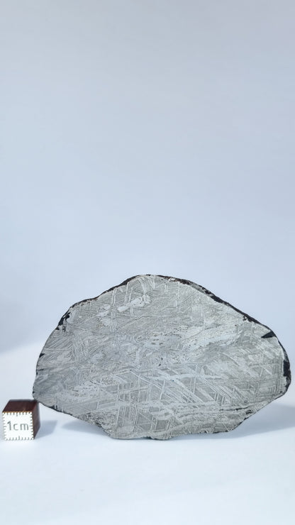 Muonionalusta Meteorite, Sweden. Slice 76.99grams
