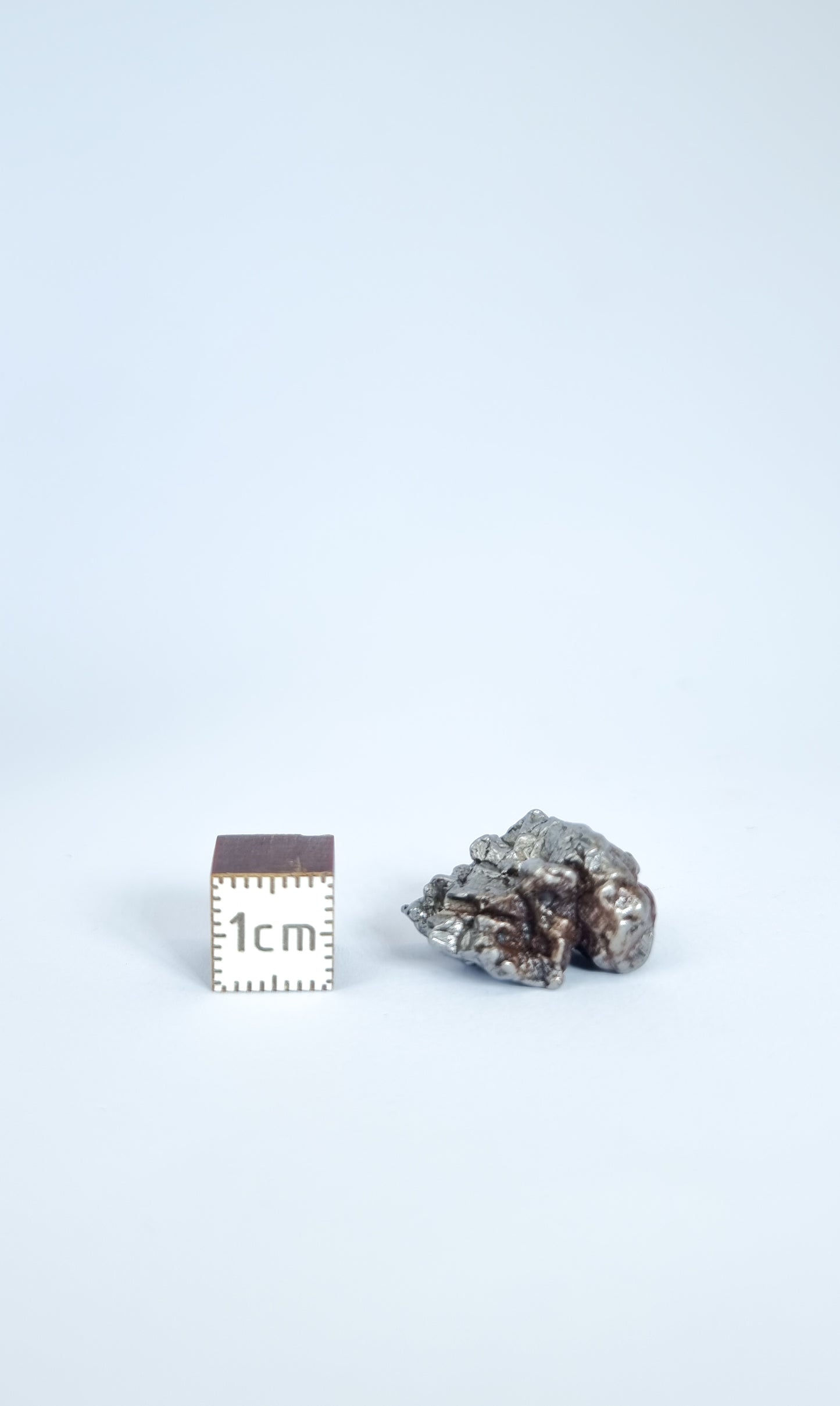 Campo del Cielo meteorite, South America. 52.60g lot