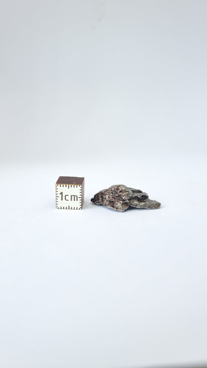 Campo del Cielo Meteorites, South America, 56.51g lot