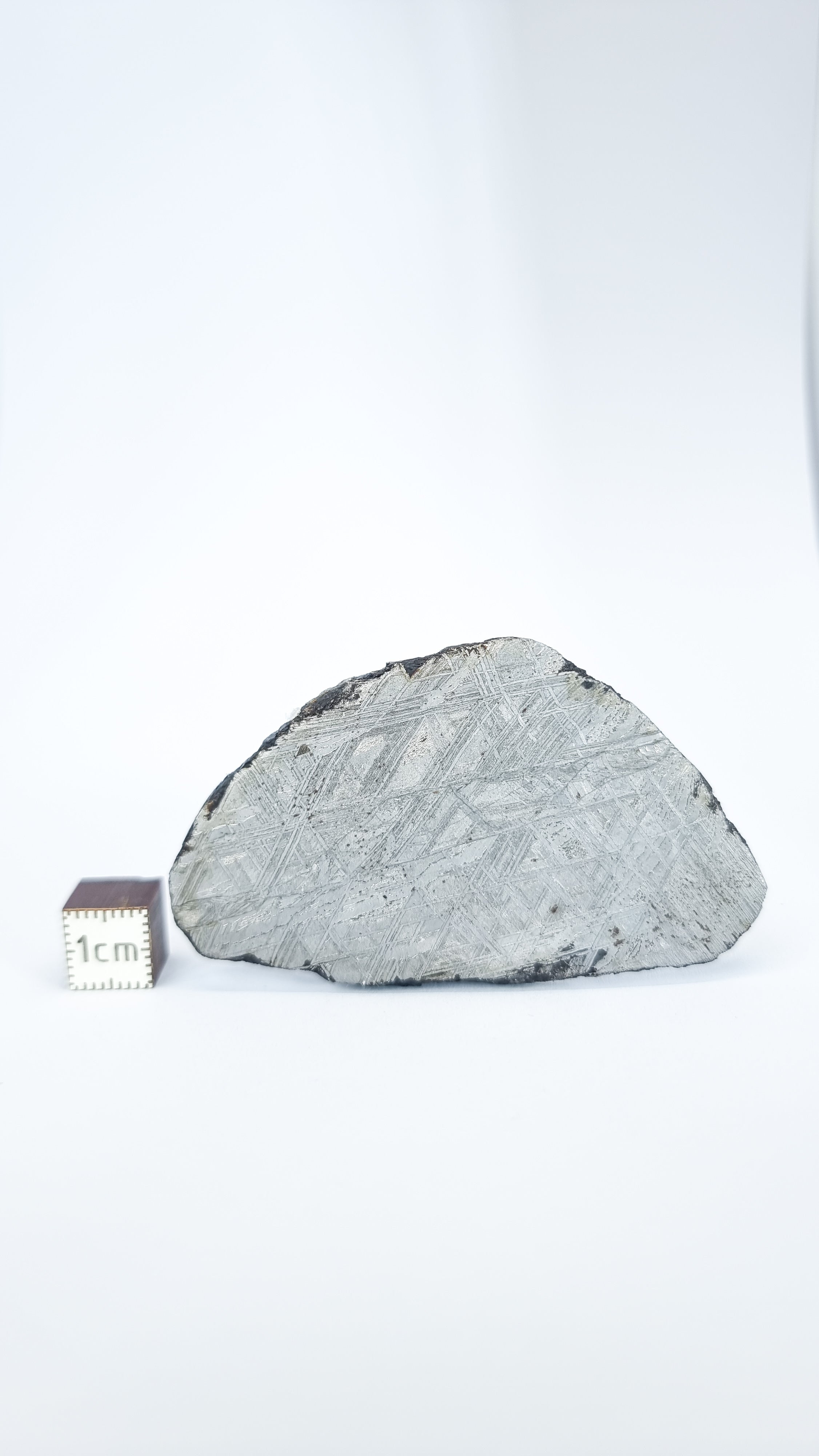 Muonionalusta meteorite, Sweden. 47.50g slice