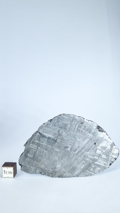Muonionalusta meteorite, Sweden. 64,28 grams